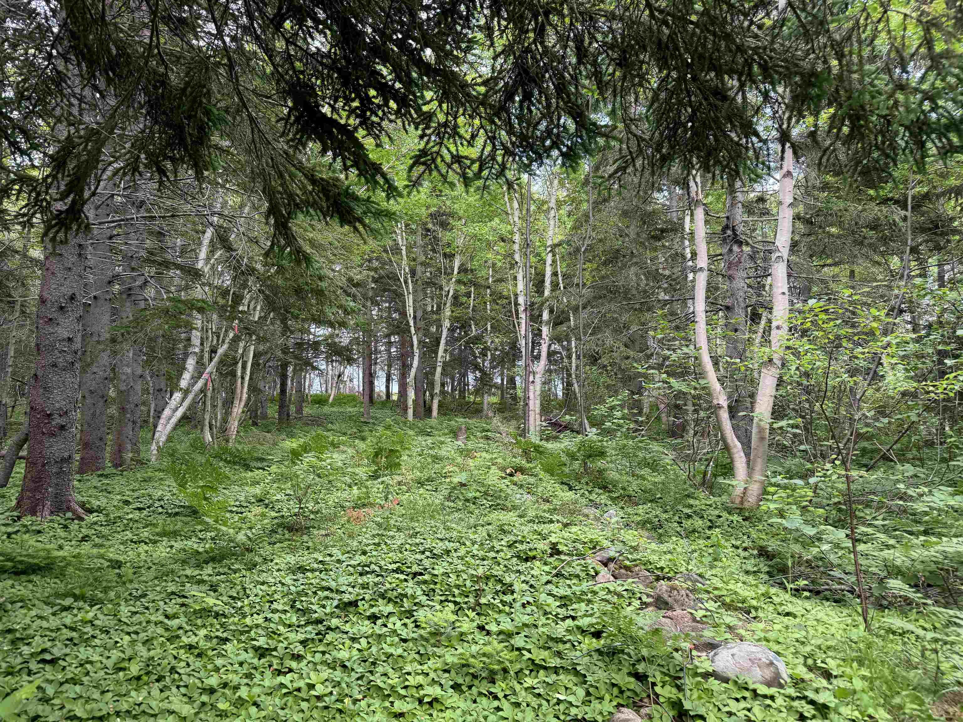 $235,000.00: 41251 Cabot Trail, Wreck Cove