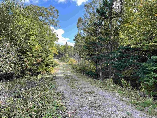 $235,000.00: 41251 Cabot Trail, Wreck Cove