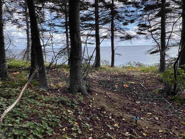 $235,000.00: 41251 Cabot Trail, Wreck Cove