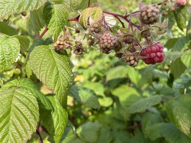 $235,000.00: 41251 Cabot Trail, Wreck Cove