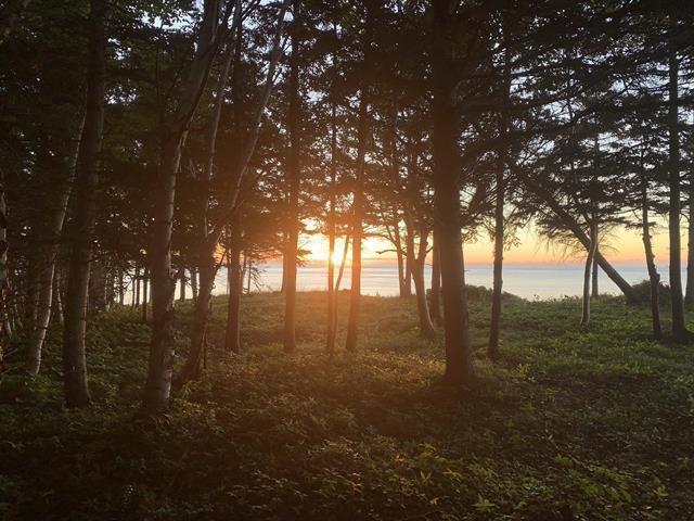 $235,000.00: 41251 Cabot Trail, Wreck Cove