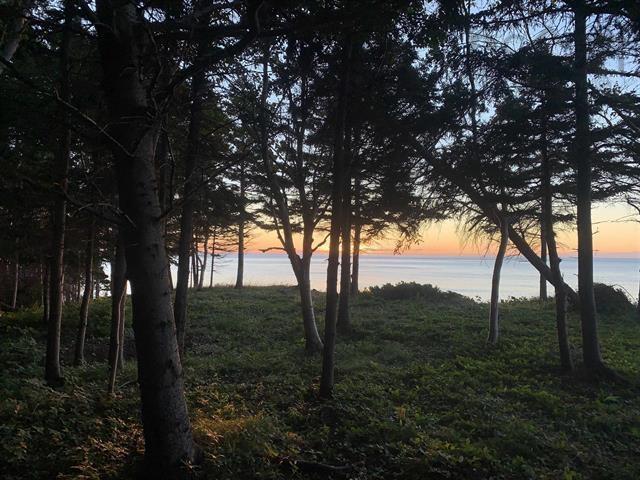 $235,000.00: 41251 Cabot Trail, Wreck Cove