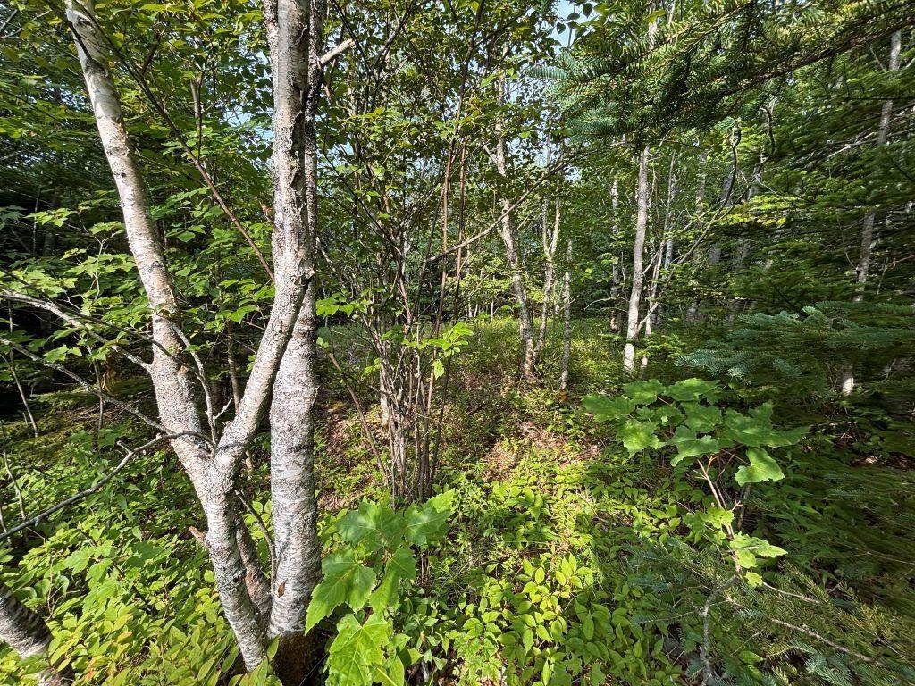 $79,900.00: Lot 82-2 Lays Lake Road, Meaghers Grant