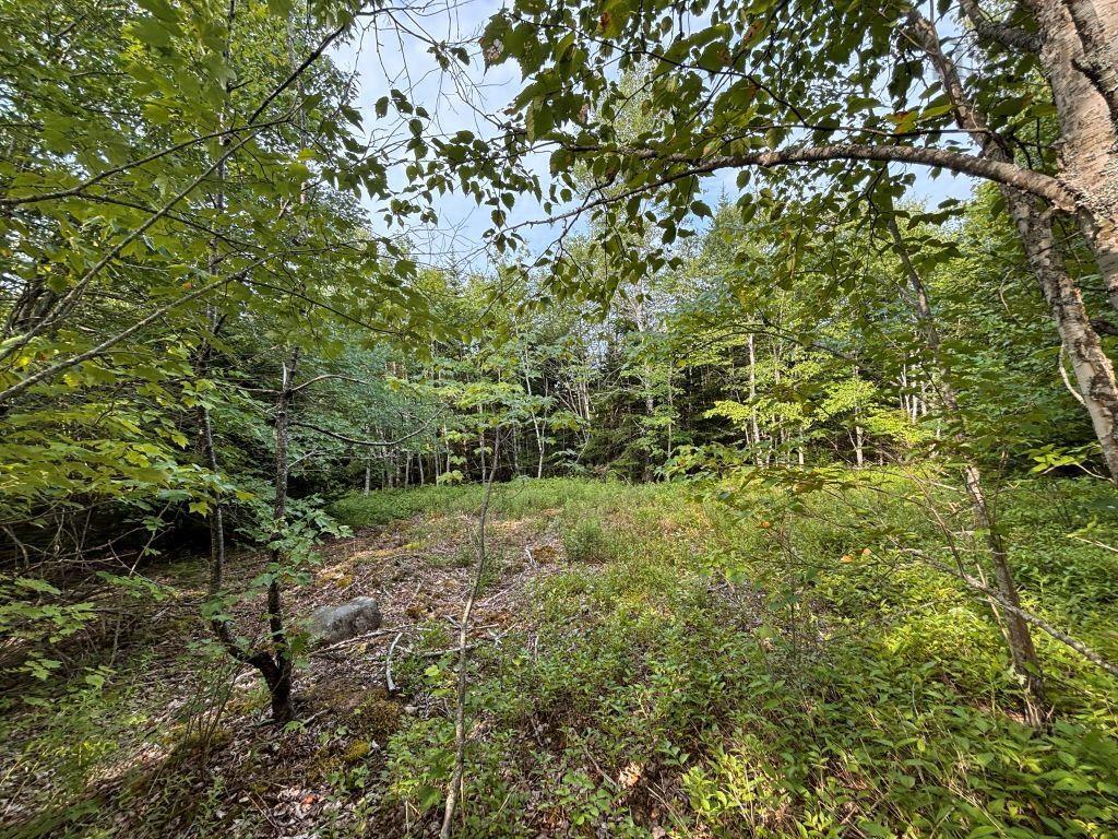 $79,900.00: Lot 82-2 Lays Lake Road, Meaghers Grant