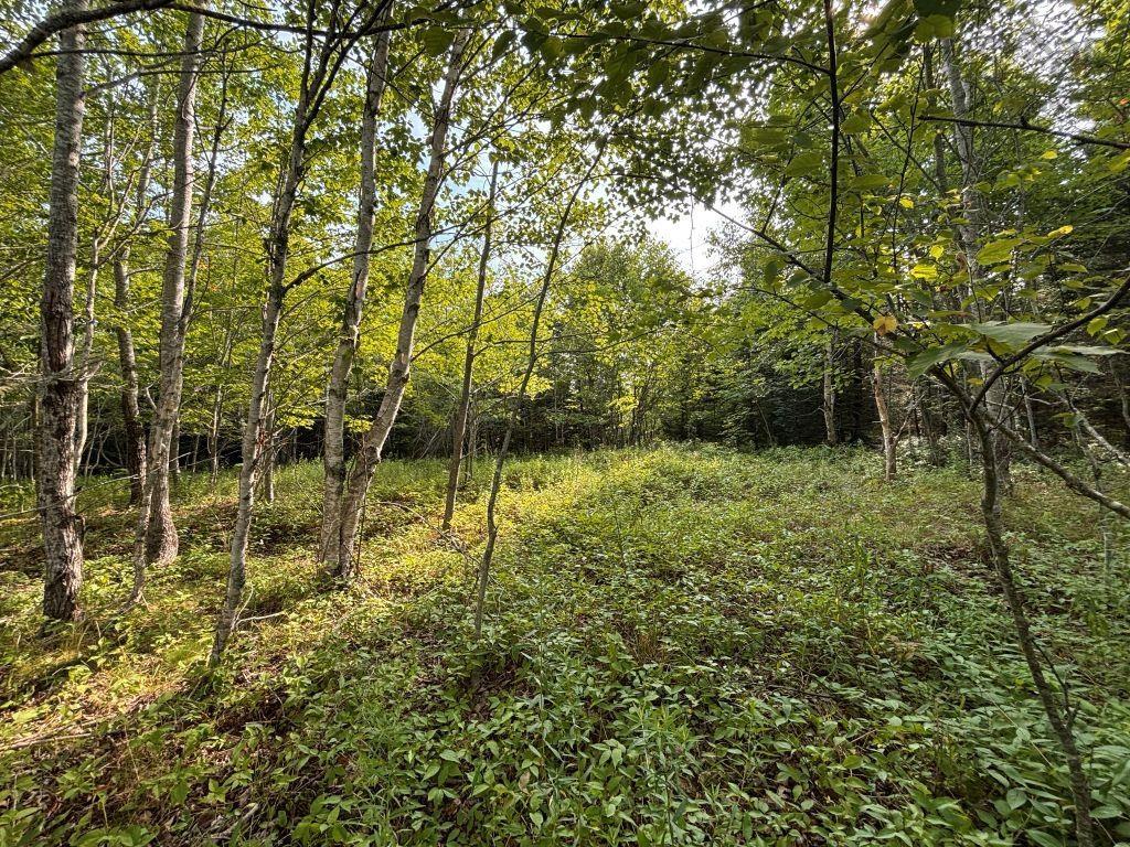 $79,900.00: Lot 82-2 Lays Lake Road, Meaghers Grant