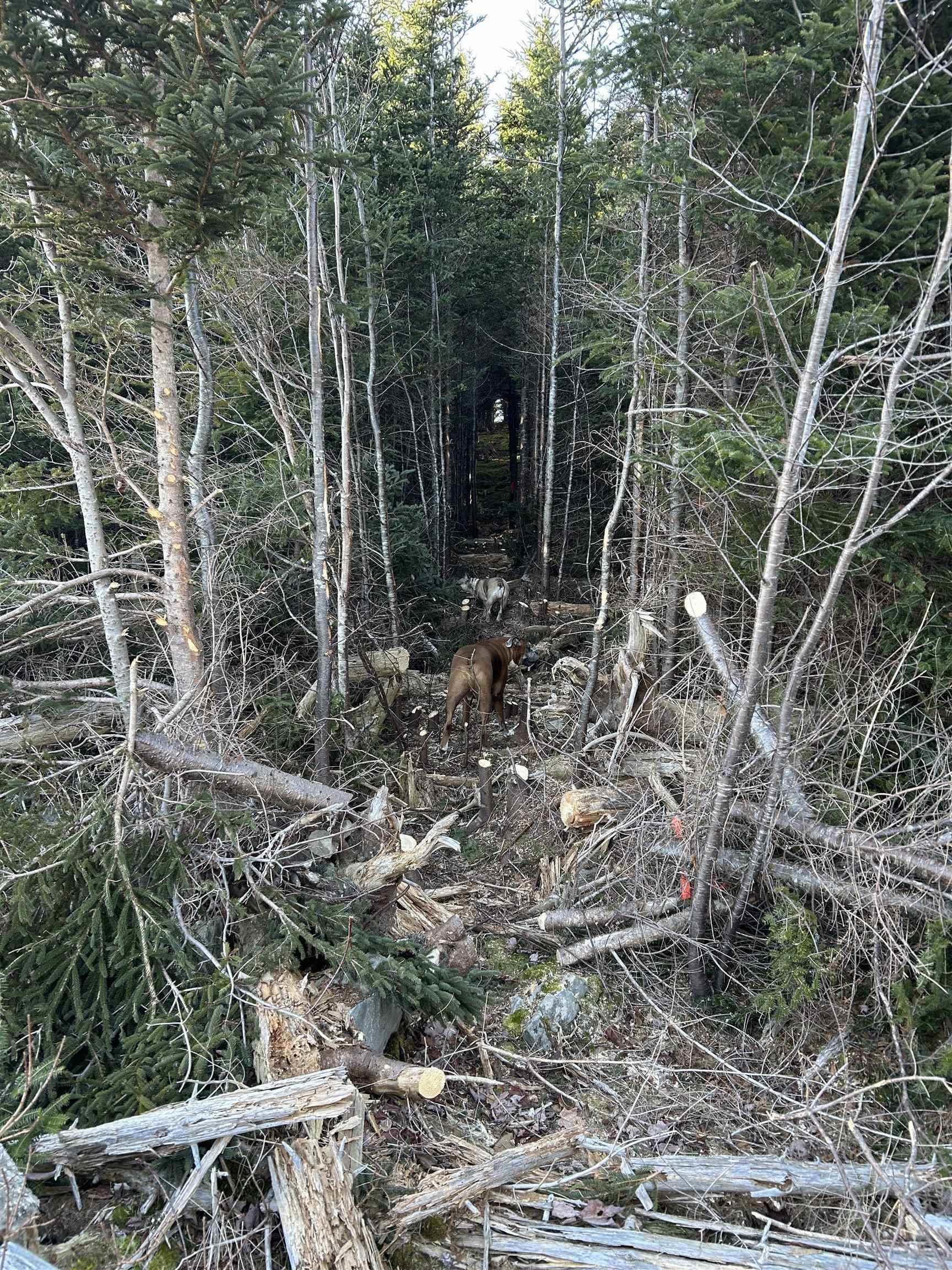 $650,000.00: Lot 4-B West Petpeswick Road, West Petpeswick