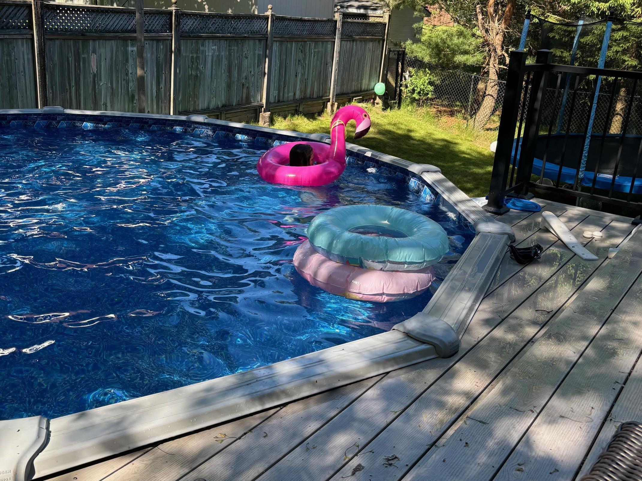 15 Bellroyal Court, Cole Harbour, NS (MLS 202602588)