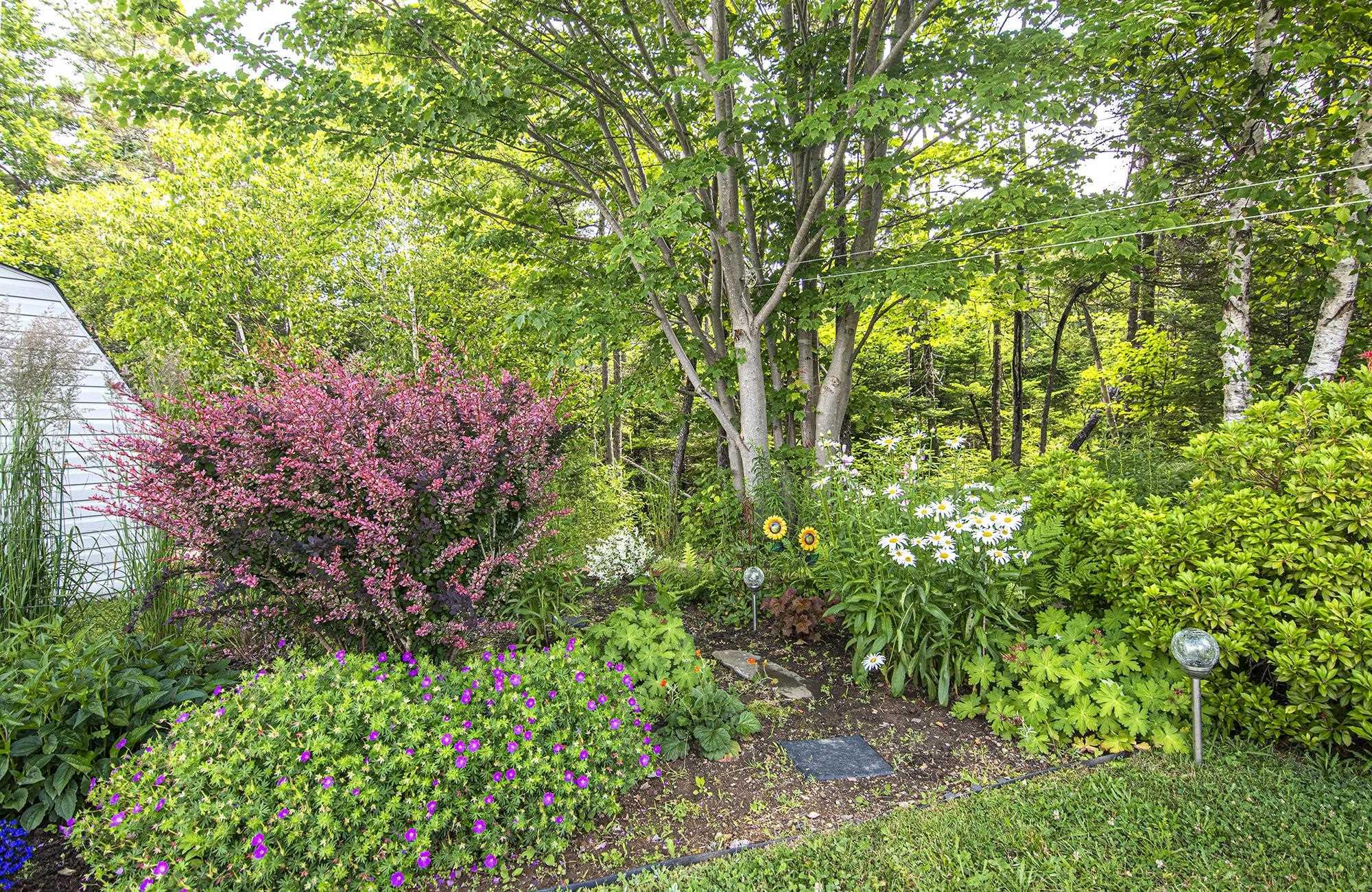 76 Bumpy Lane, Lake Echo, NS (MLS 202602598)