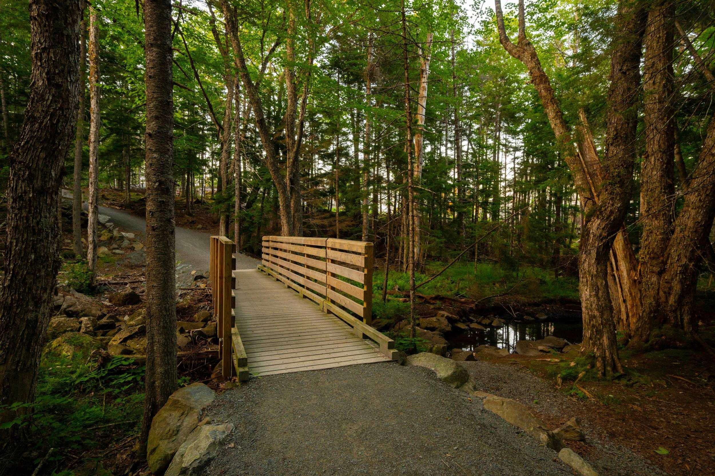 $1,219,900.00: 220 Talus Avenue, Bedford