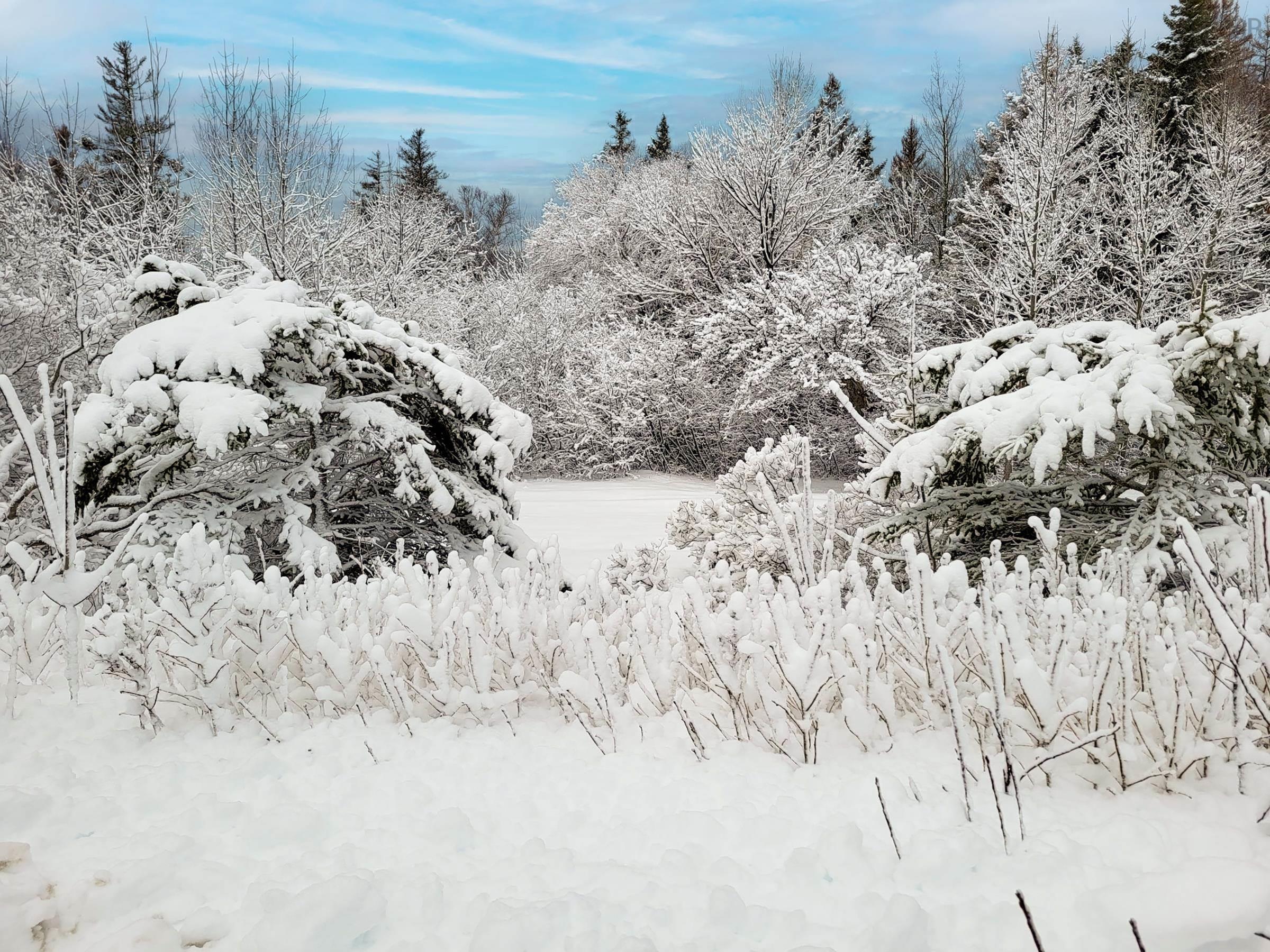 $62,500.00: 2999 Shore Road, Litchfield