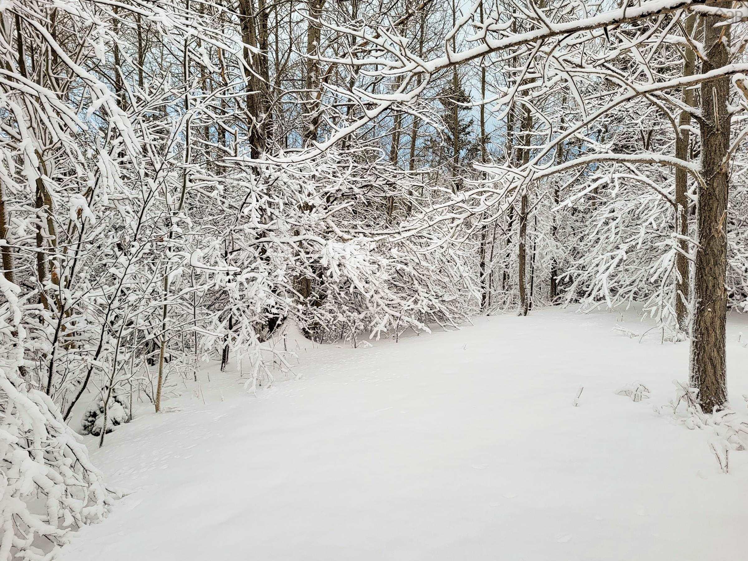 $62,500.00: 2999 Shore Road, Litchfield