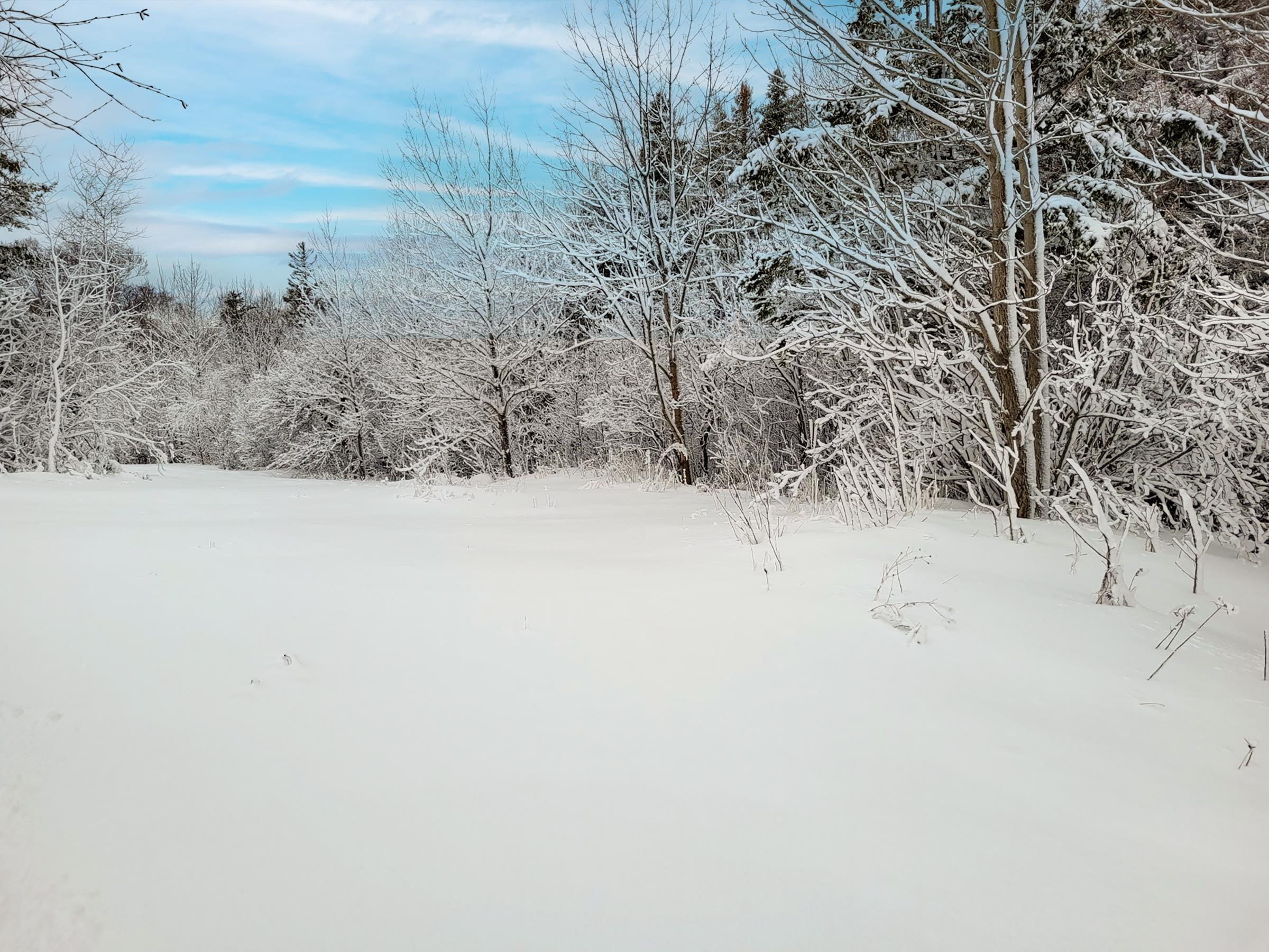 $62,500.00: 2999 Shore Road, Litchfield