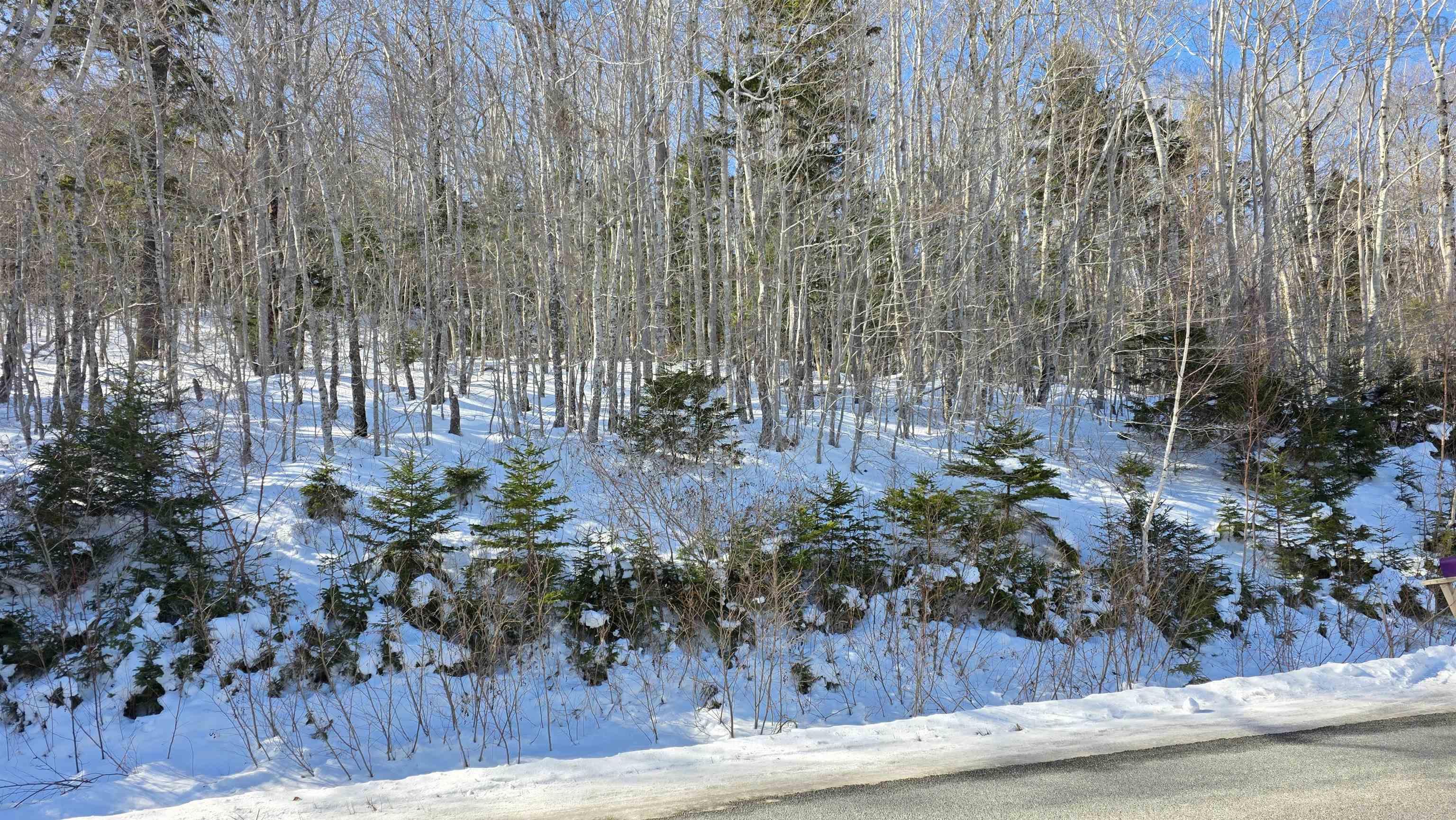 $30,000.00: Lot 1 Mood Road, Summerville