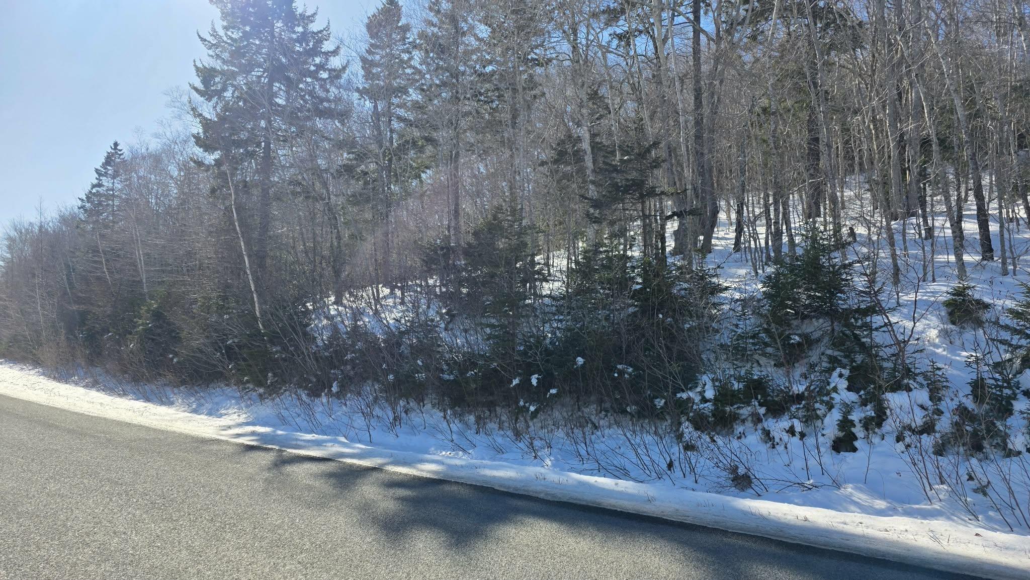 $30,000.00: Lot 1 Mood Road, Summerville