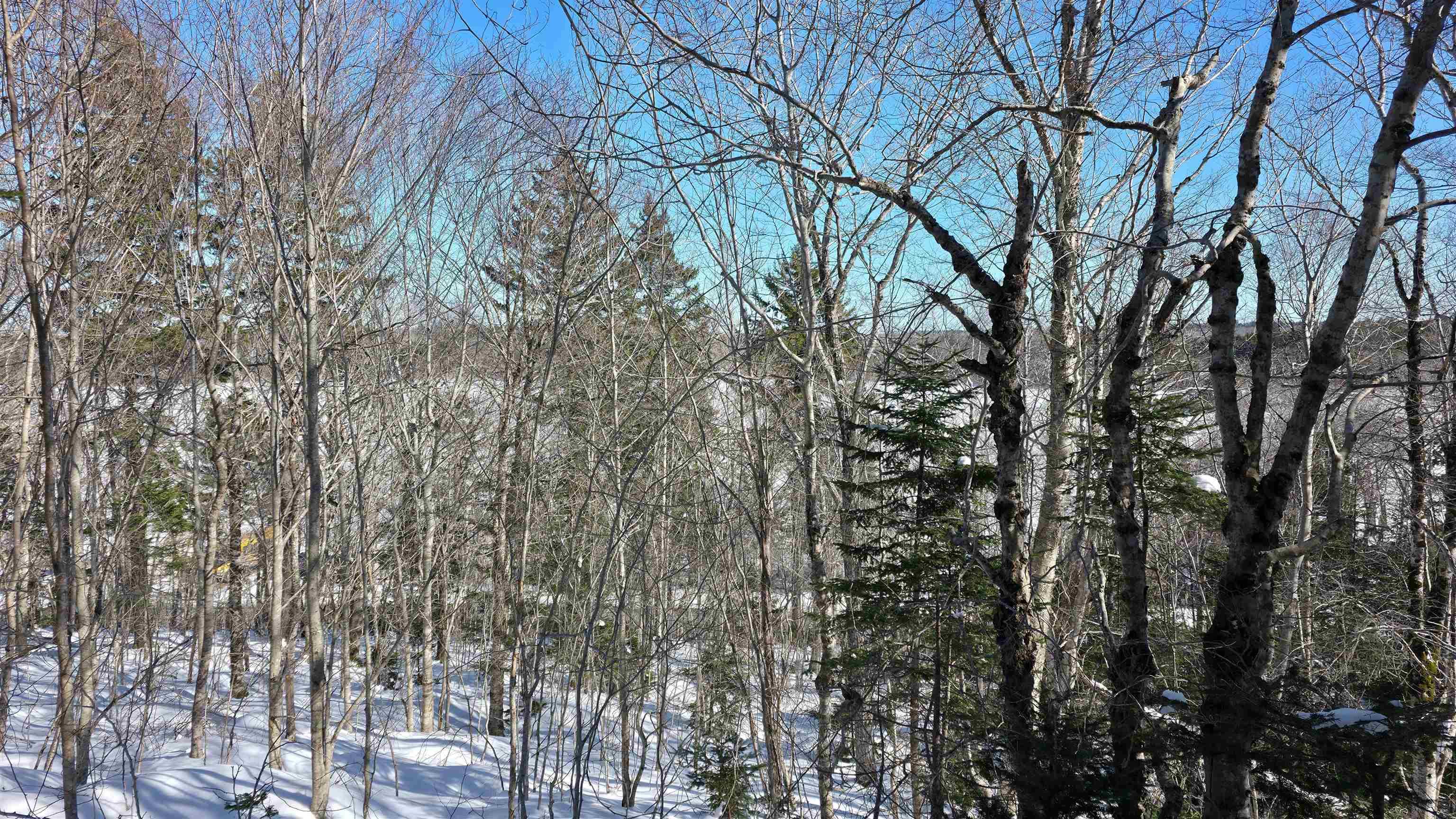 $30,000.00: Lot 1 Mood Road, Summerville