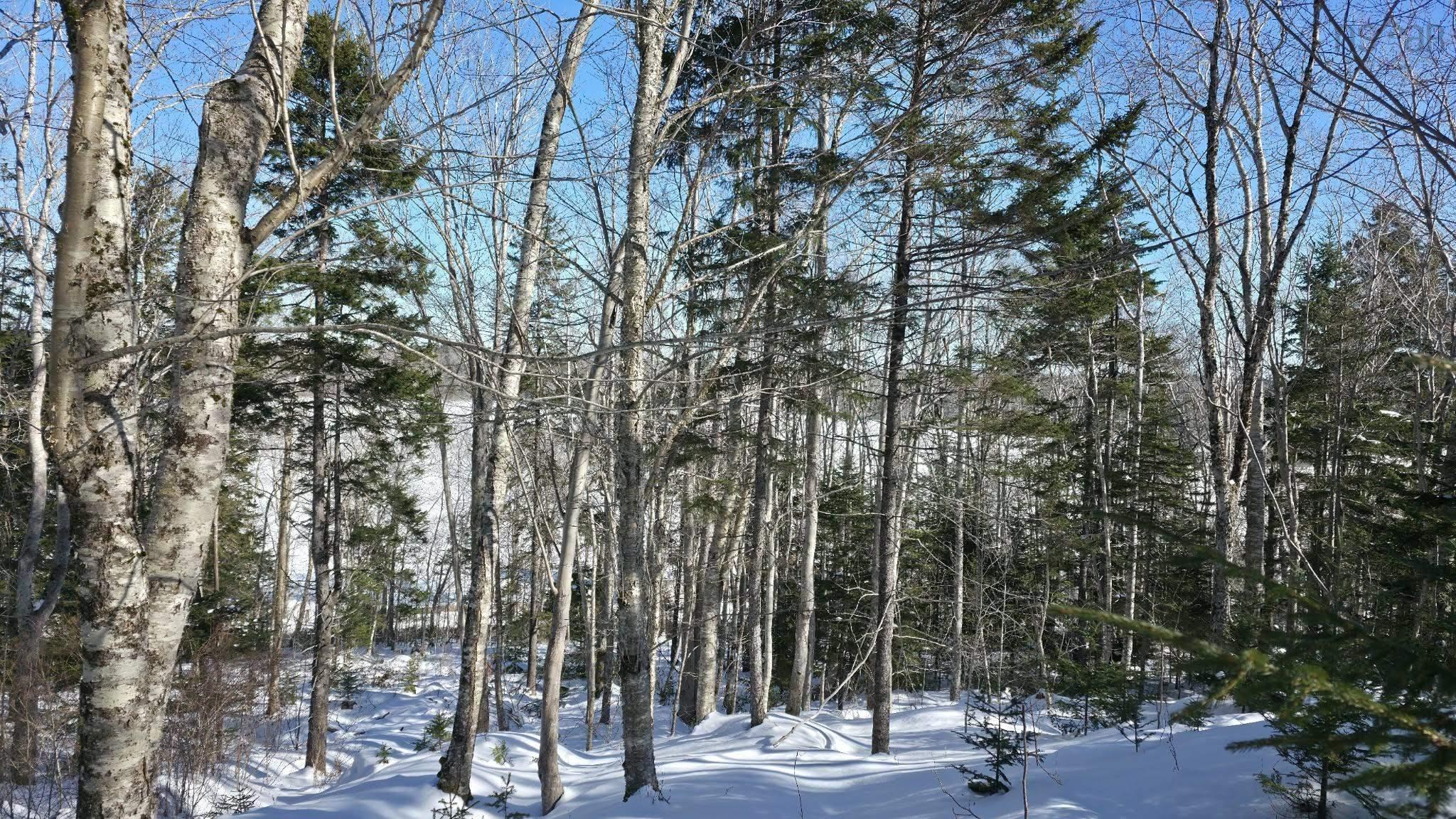 $30,000.00: Lot 1 Mood Road, Summerville