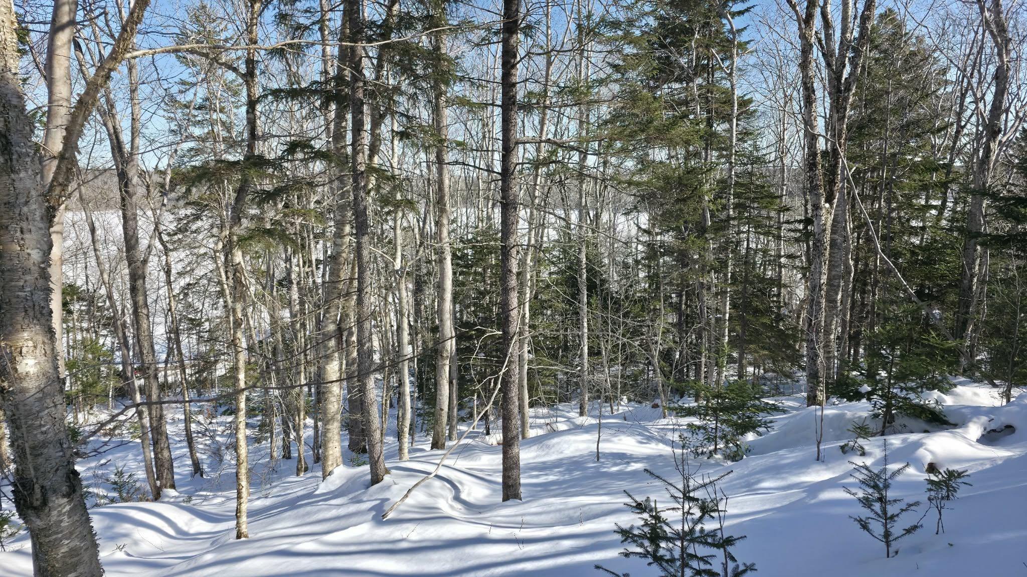 $30,000.00: Lot 1 Mood Road, Summerville