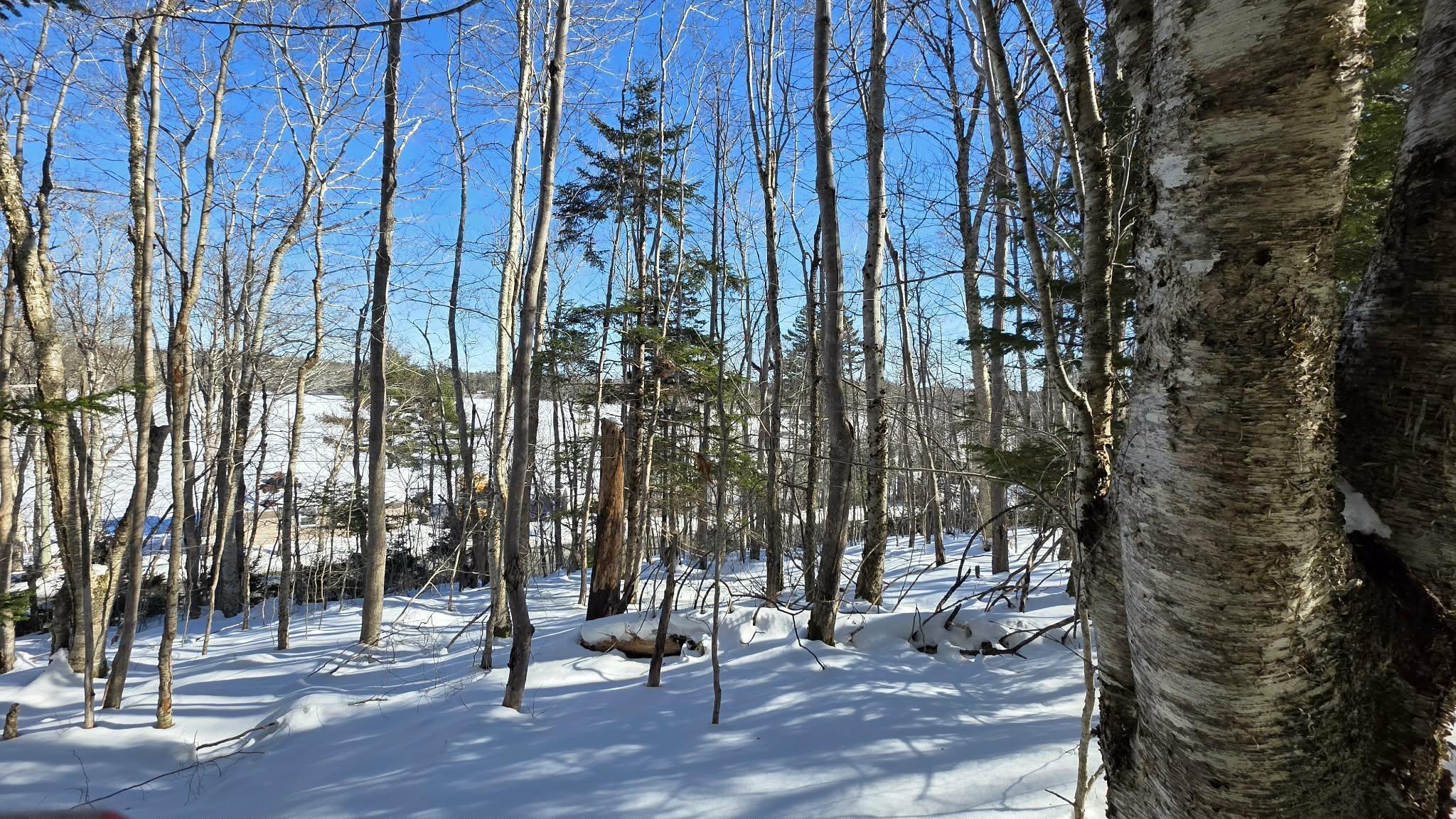 $30,000.00: Lot 1 Mood Road, Summerville