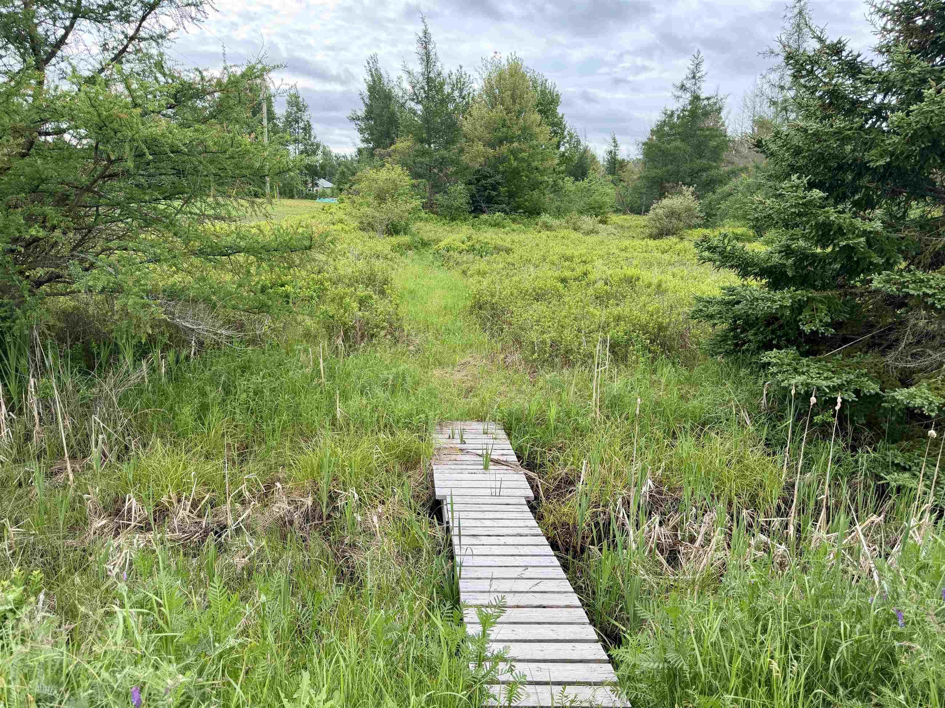 $68,000.00: North Wallace Bay Road, Wallace