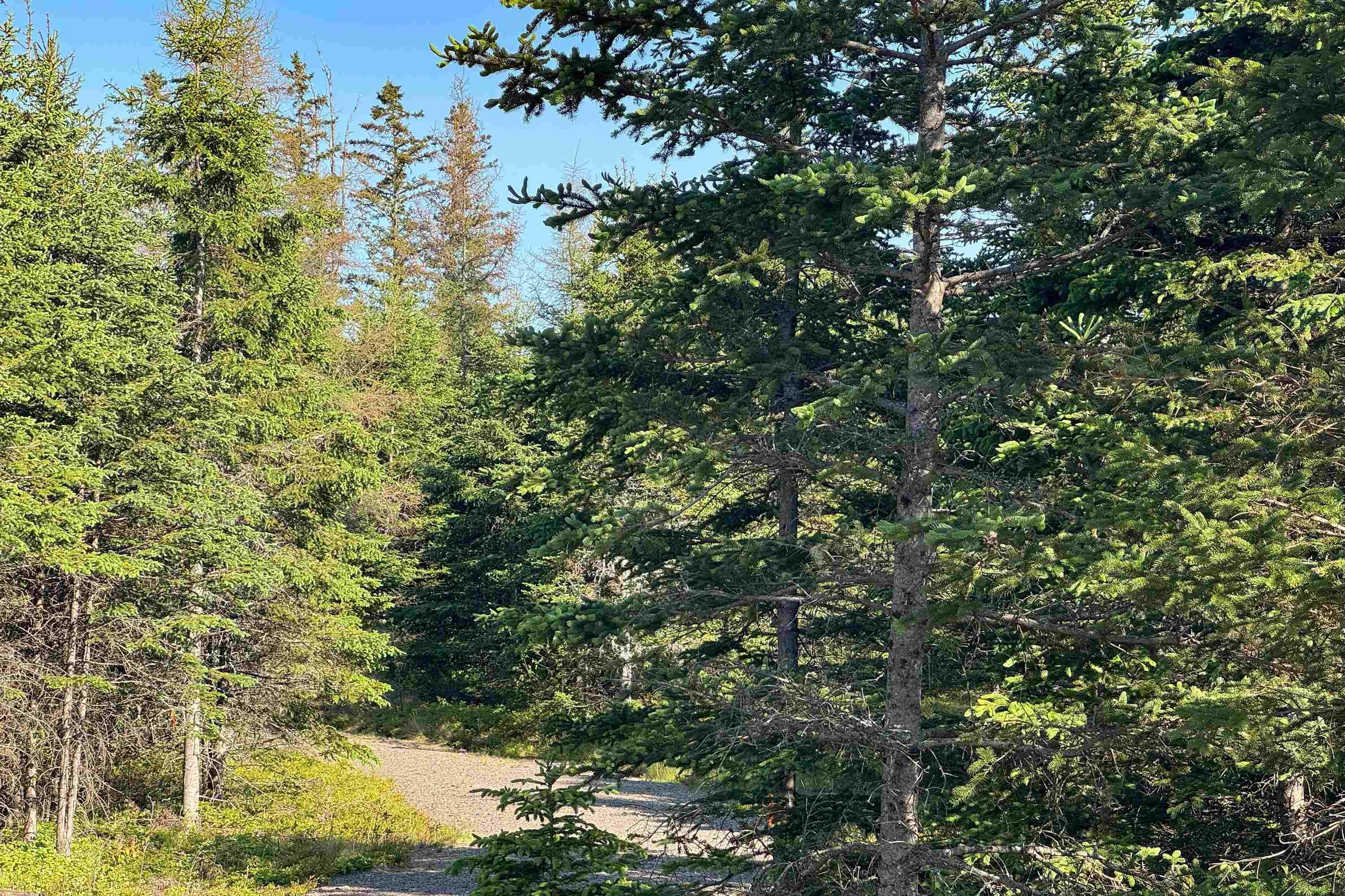 $79,900.00: Eastern Avenue, Parrsboro