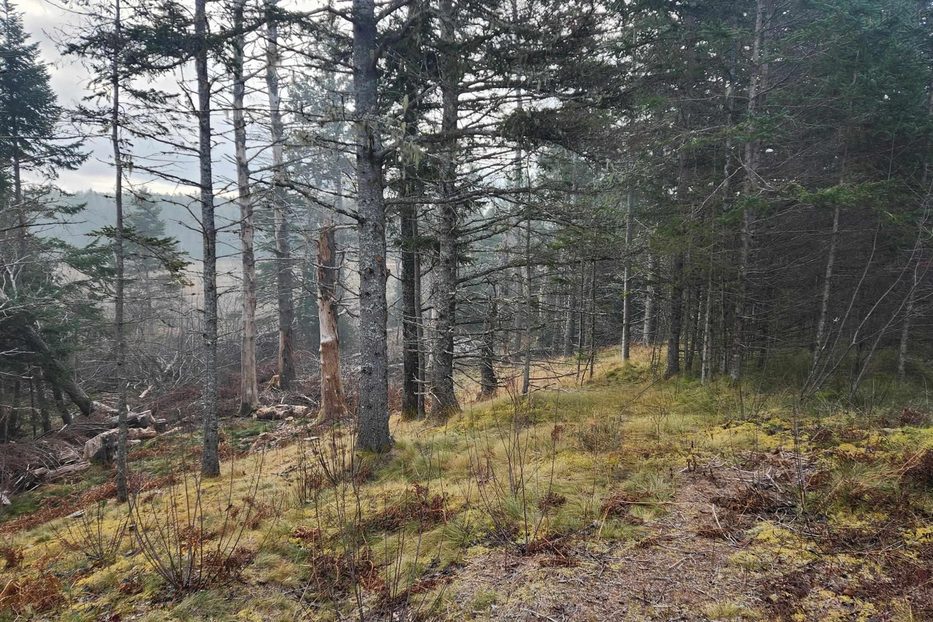 $79,900.00: Eastern Avenue, Parrsboro