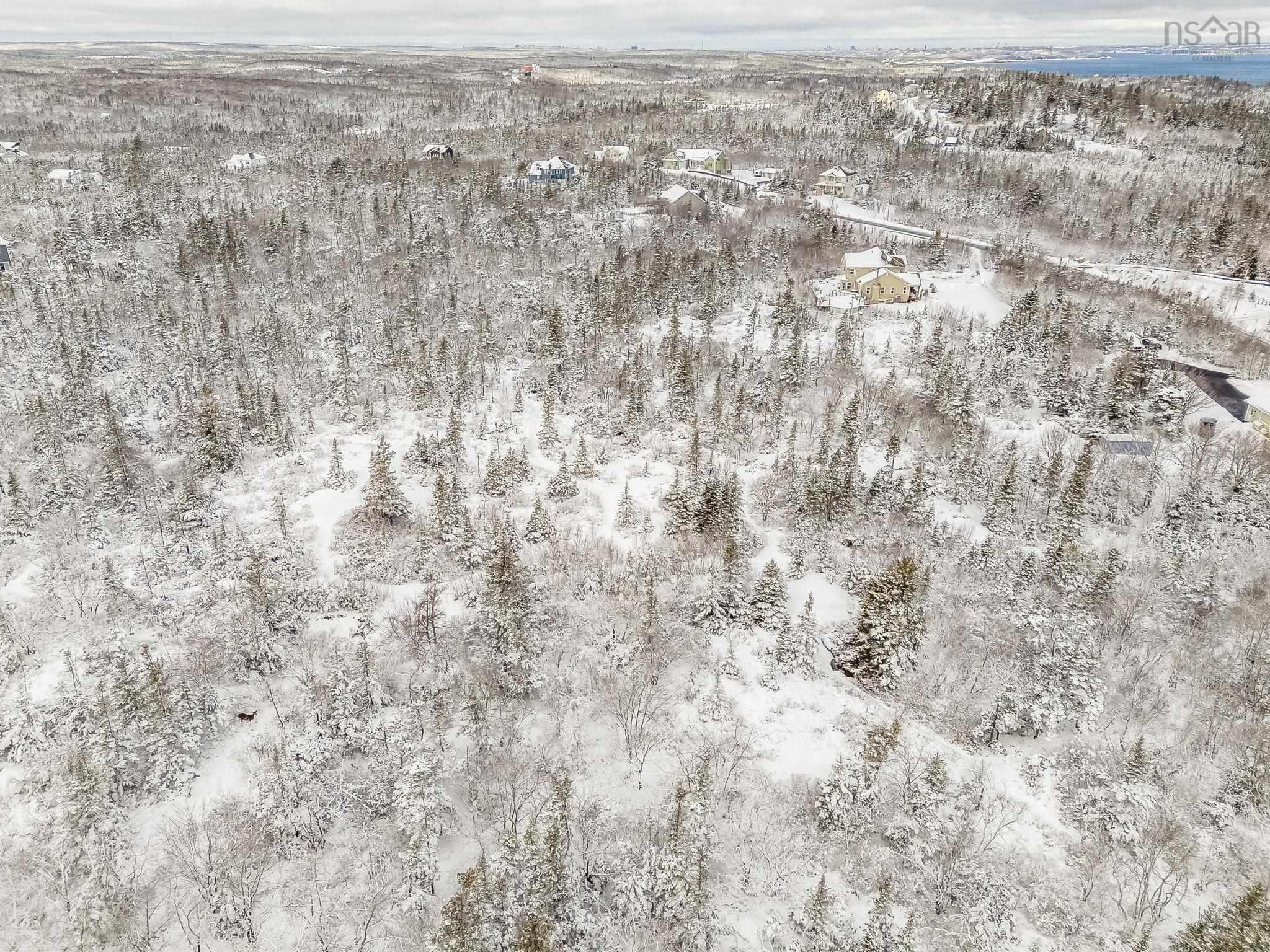 47 Trescasa Lane, Portuguese Cove, NS (MLS 202602739)