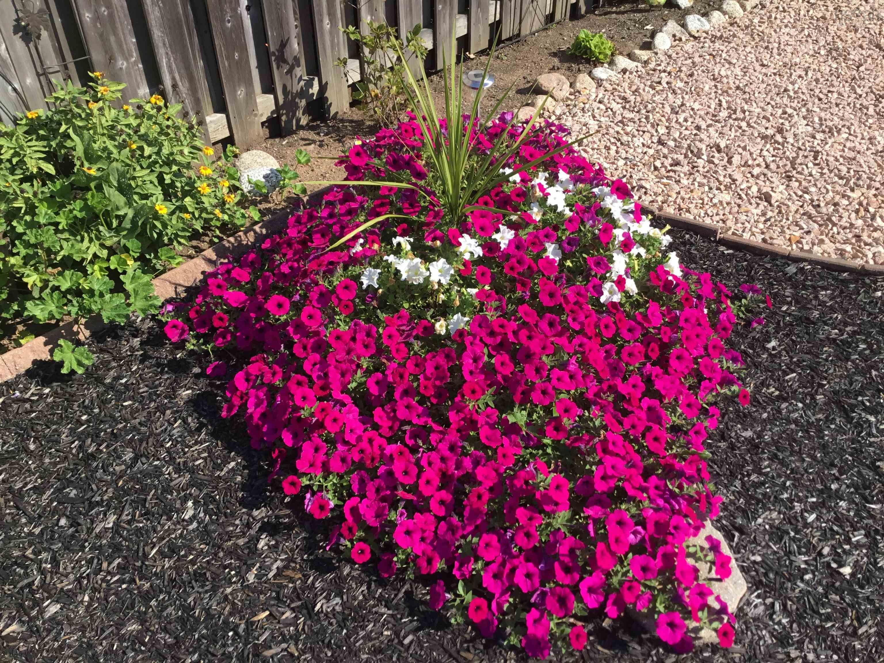 $463,900.00: 23 Beckwith Drive, Berwick