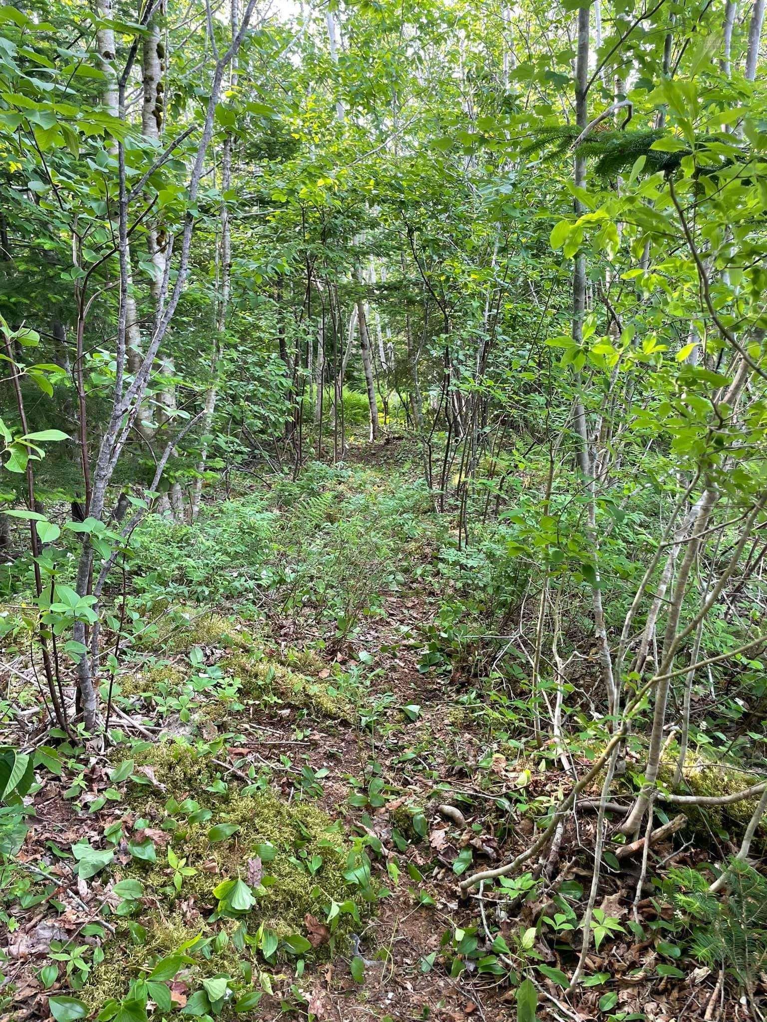 $74,000.00: Lot 13 Lanceleve Crescent, Albert Bridge