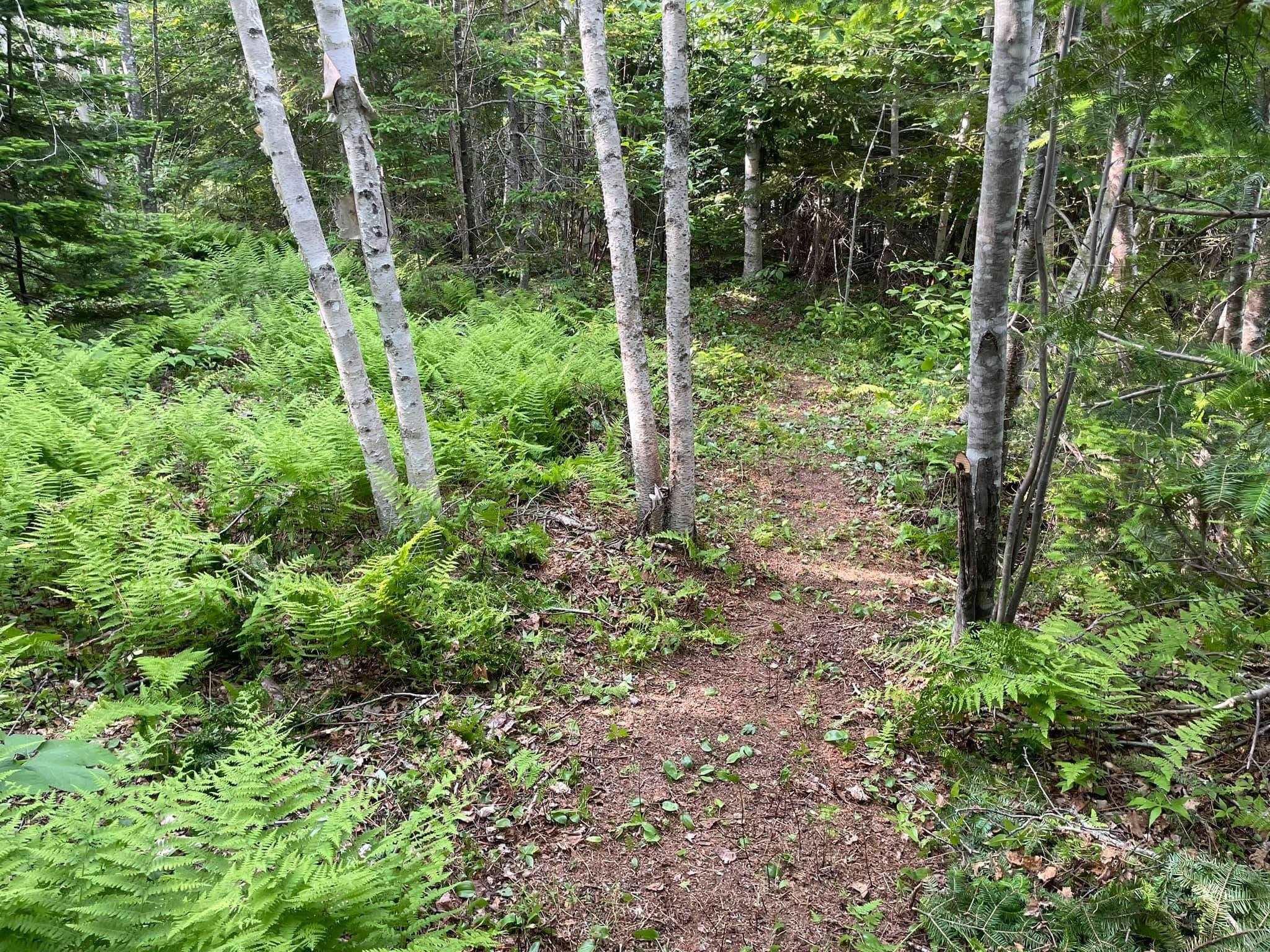 $74,000.00: Lot 13 Lanceleve Crescent, Albert Bridge