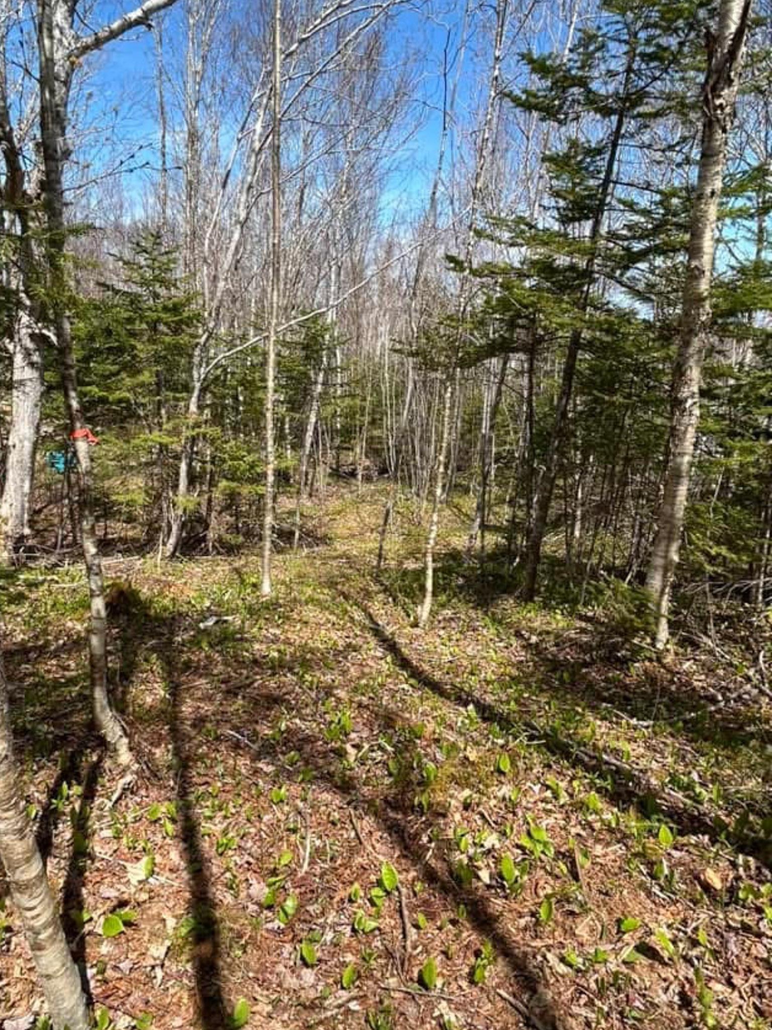 $74,000.00: Lot 13 Lanceleve Crescent, Albert Bridge