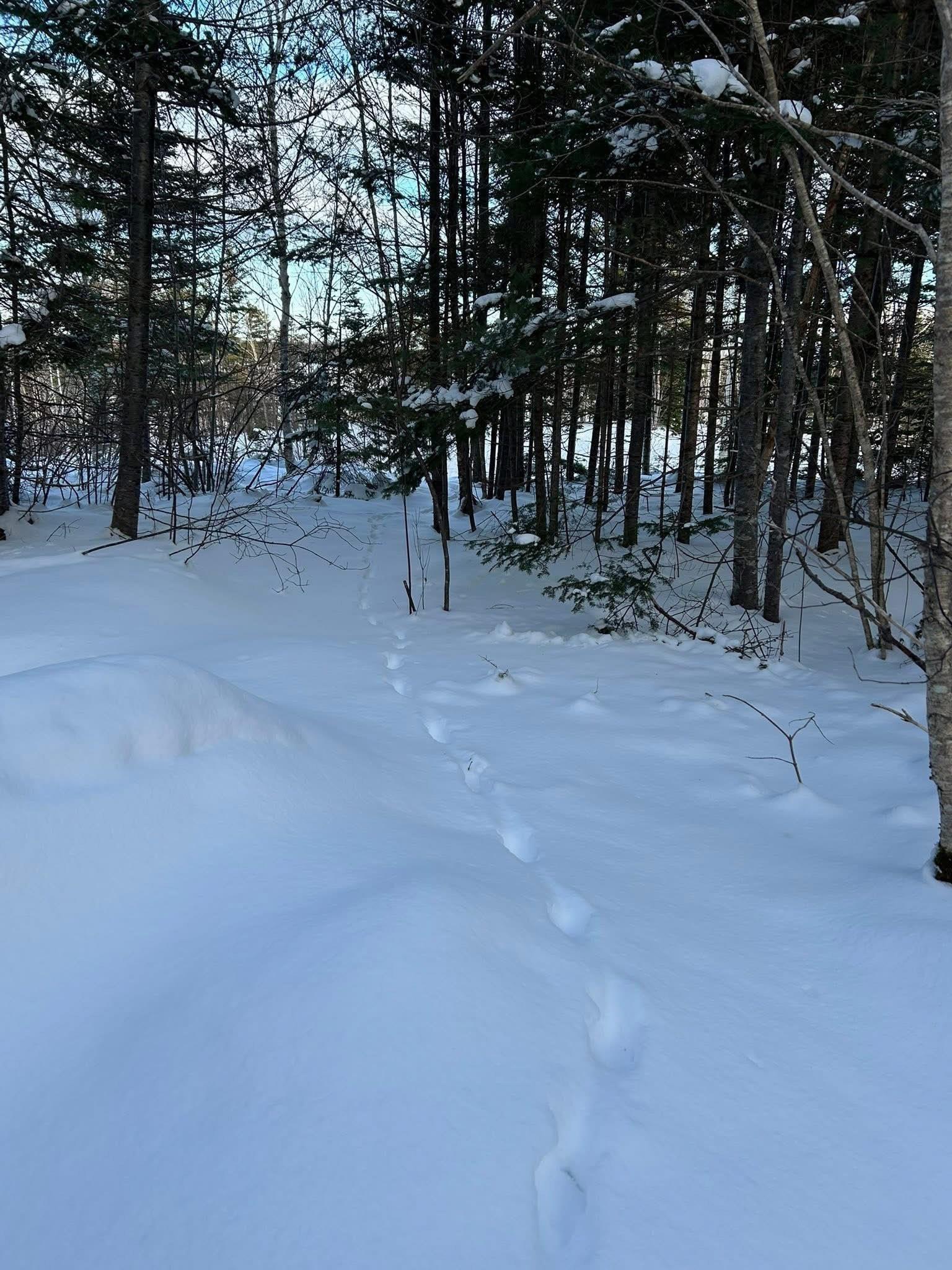 $74,000.00: Lot 13 Lanceleve Crescent, Albert Bridge