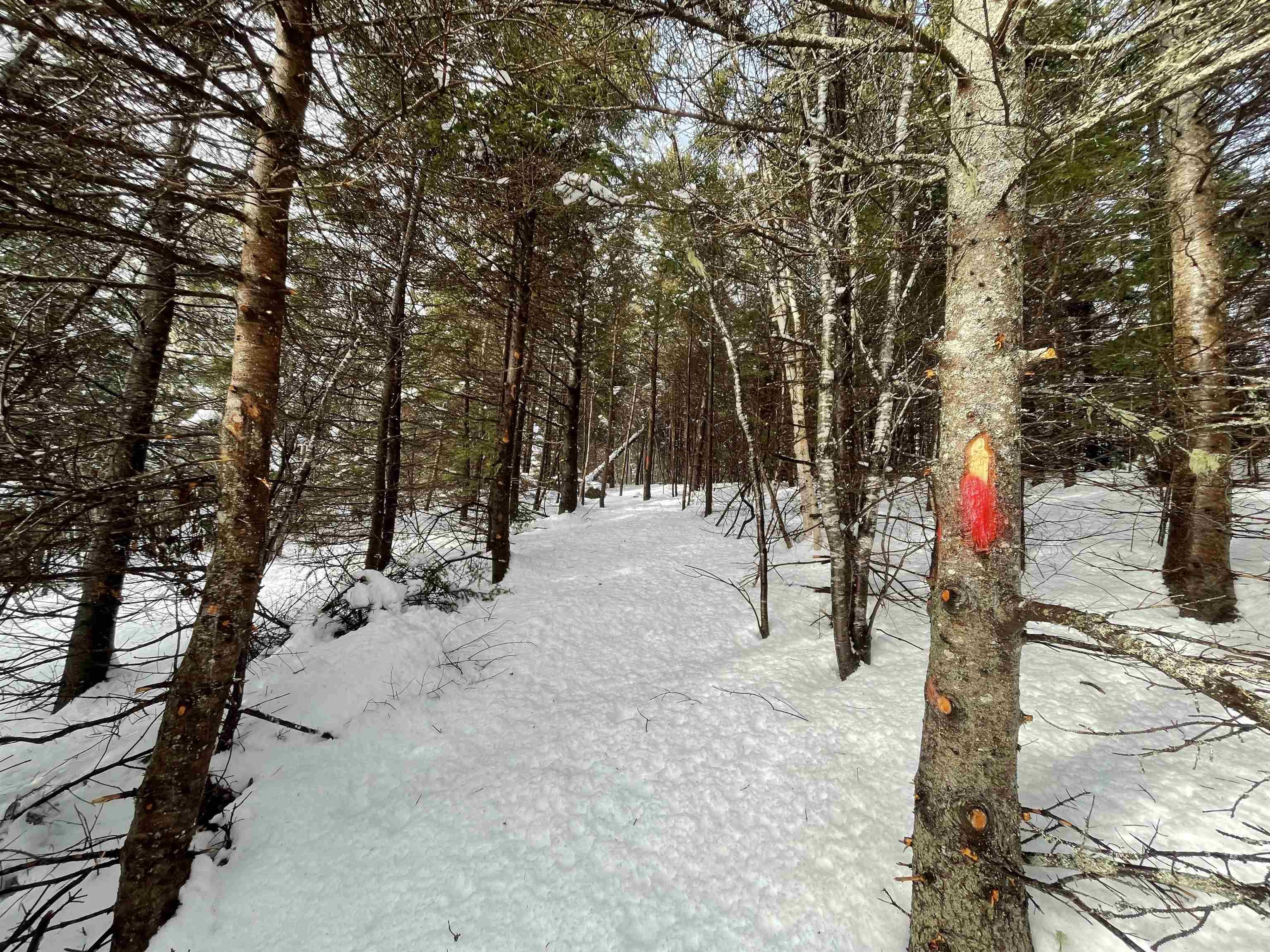 $74,000.00: Lot 13 Lanceleve Crescent, Albert Bridge