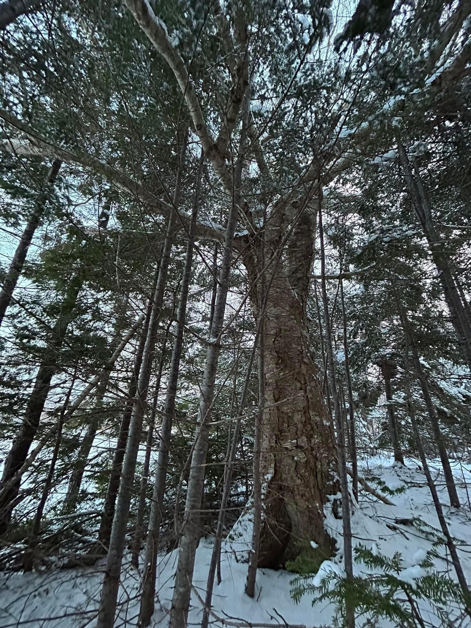 $74,000.00: Lot 13 Lanceleve Crescent, Albert Bridge