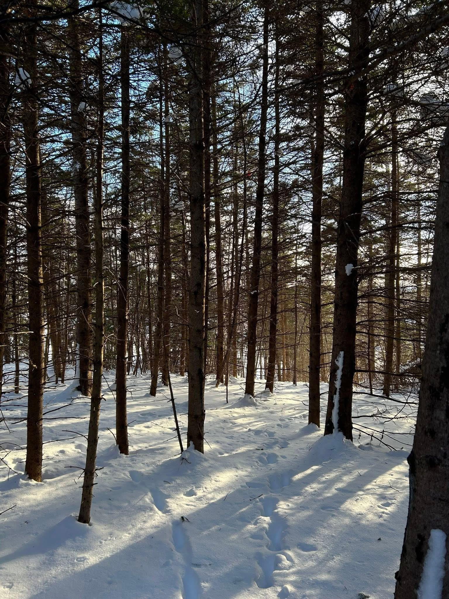 $74,000.00: Lot 13 Lanceleve Crescent, Albert Bridge