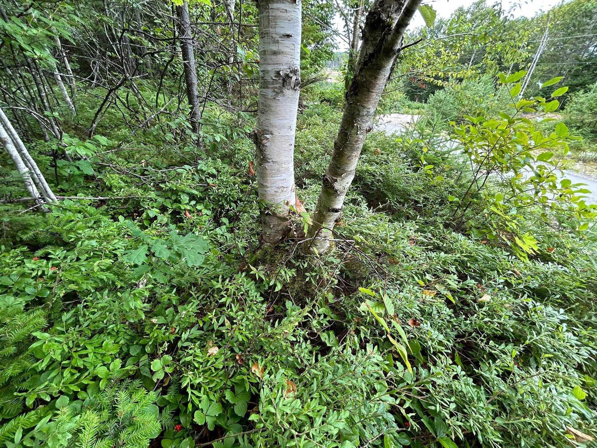 $74,000.00: Lot 13 Lanceleve Crescent, Albert Bridge