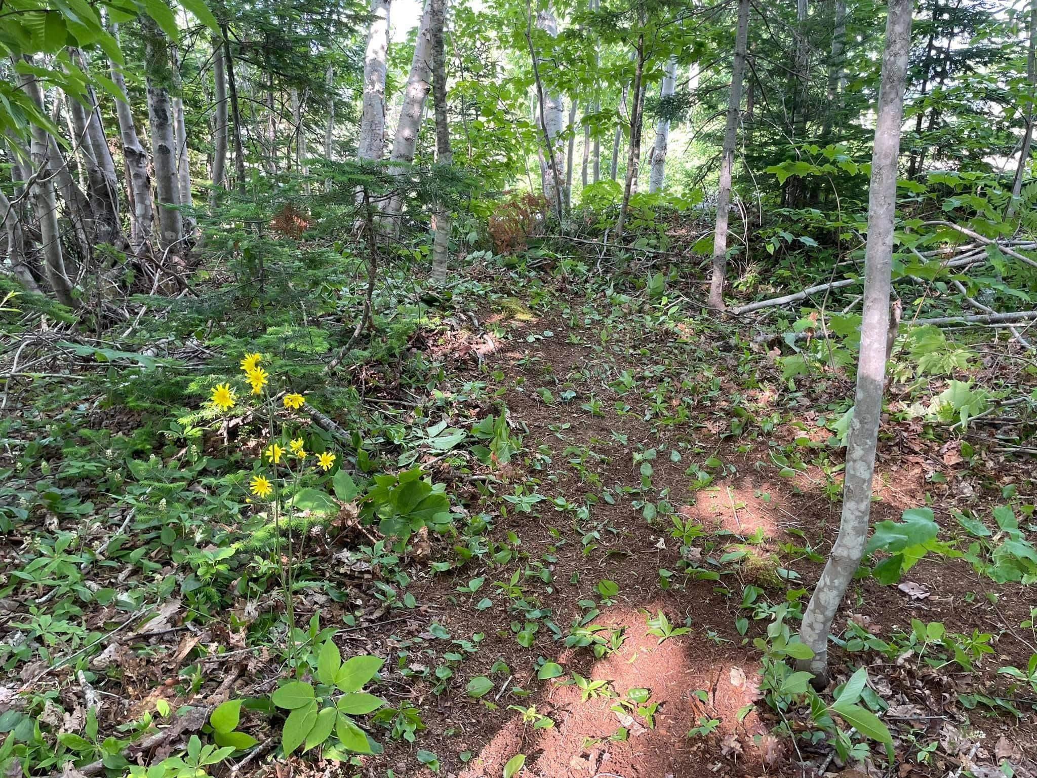 $74,000.00: Lot 13 Lanceleve Crescent, Albert Bridge