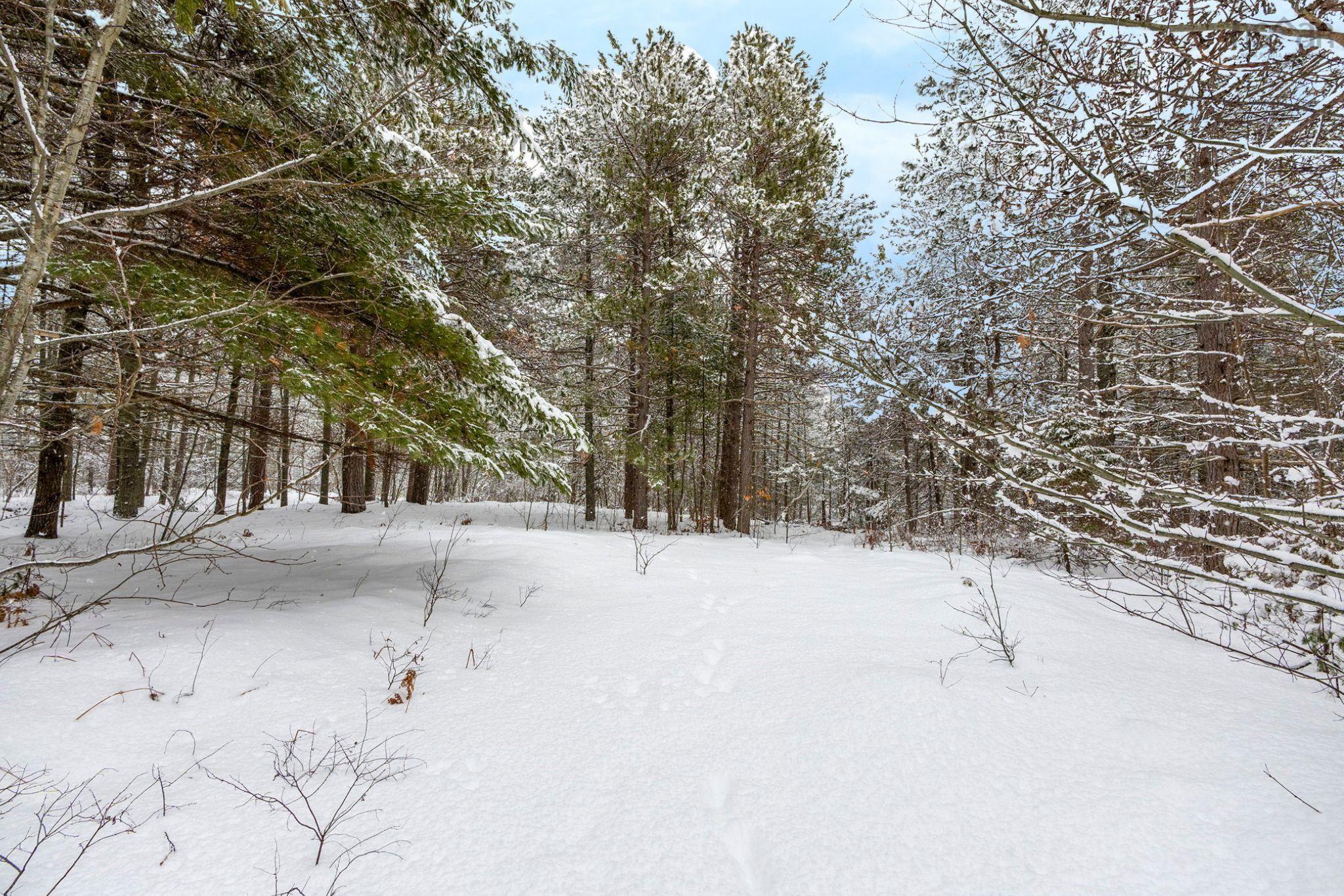 $445,000.00: 2184 Old Mill Road, South Farmington