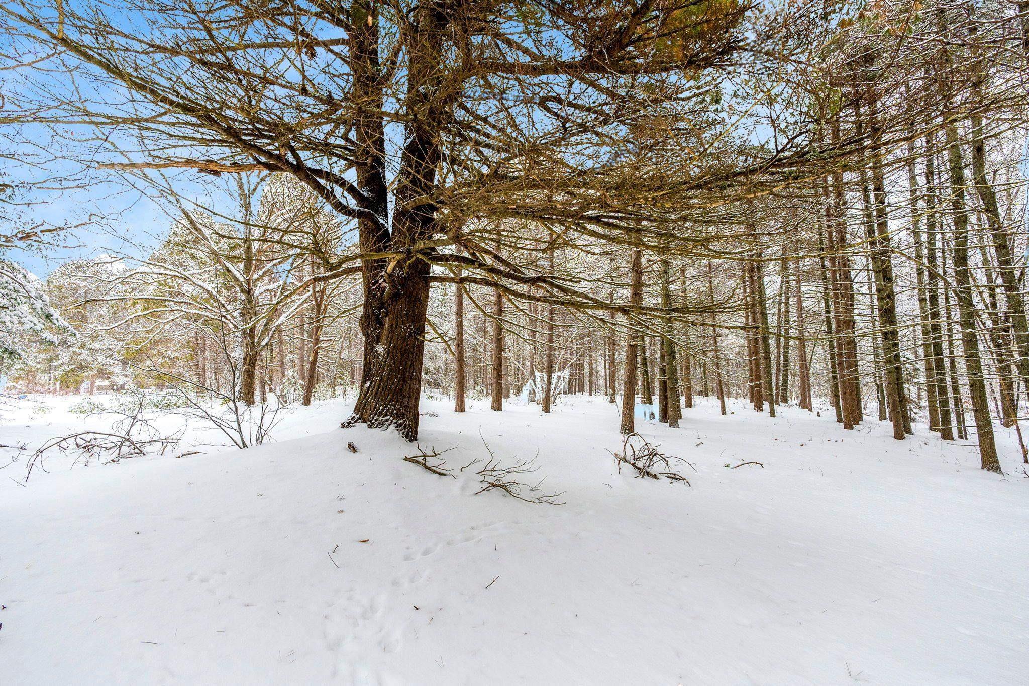 $445,000.00: 2184 Old Mill Road, South Farmington