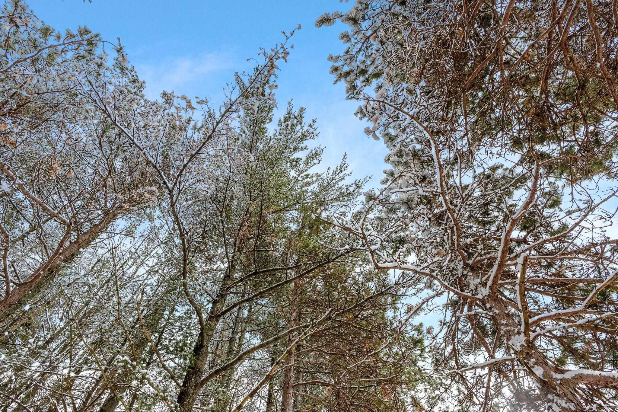 $445,000.00: 2184 Old Mill Road, South Farmington