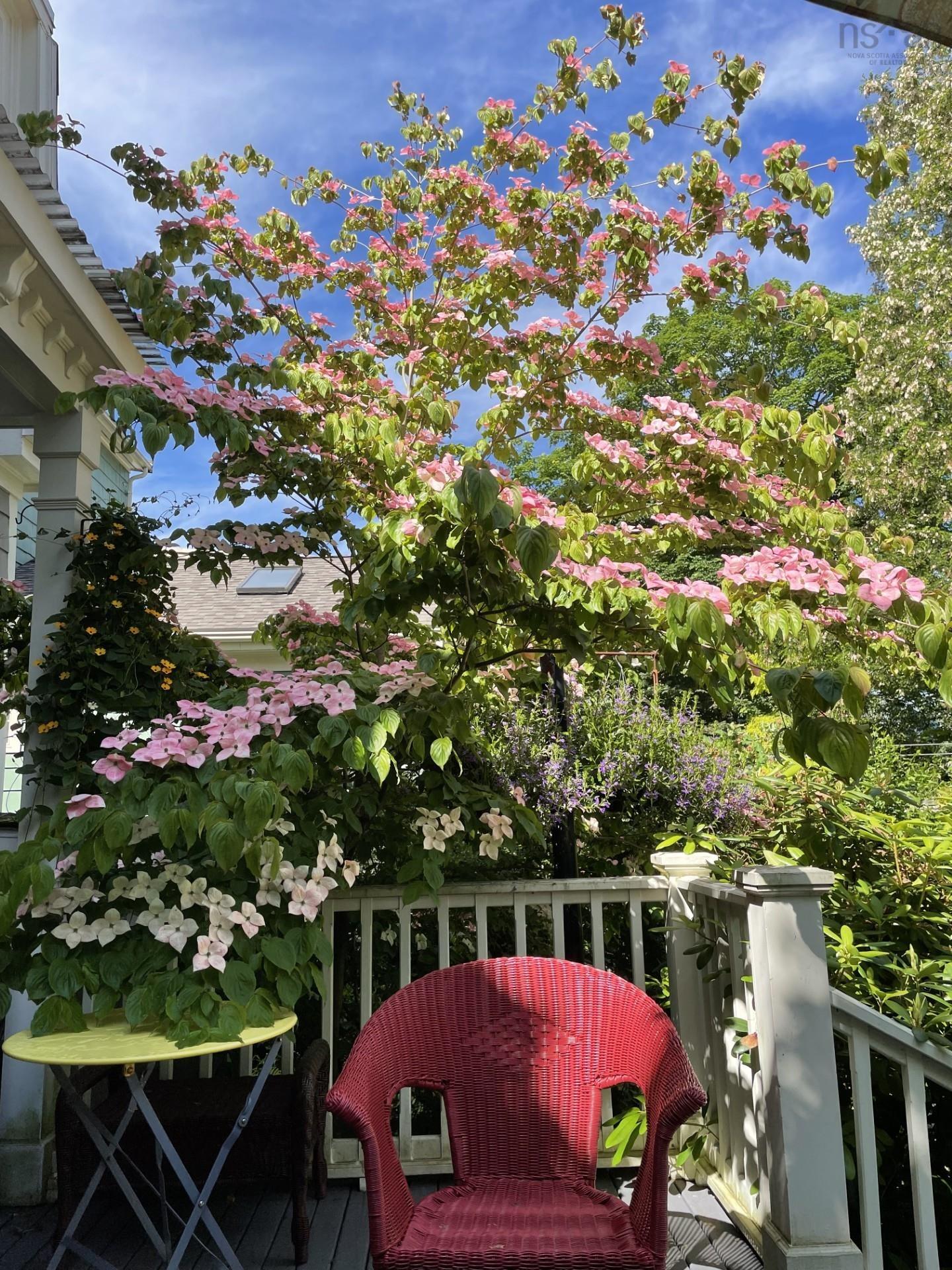 6051 South Street, Halifax, NS (MLS 202602780)