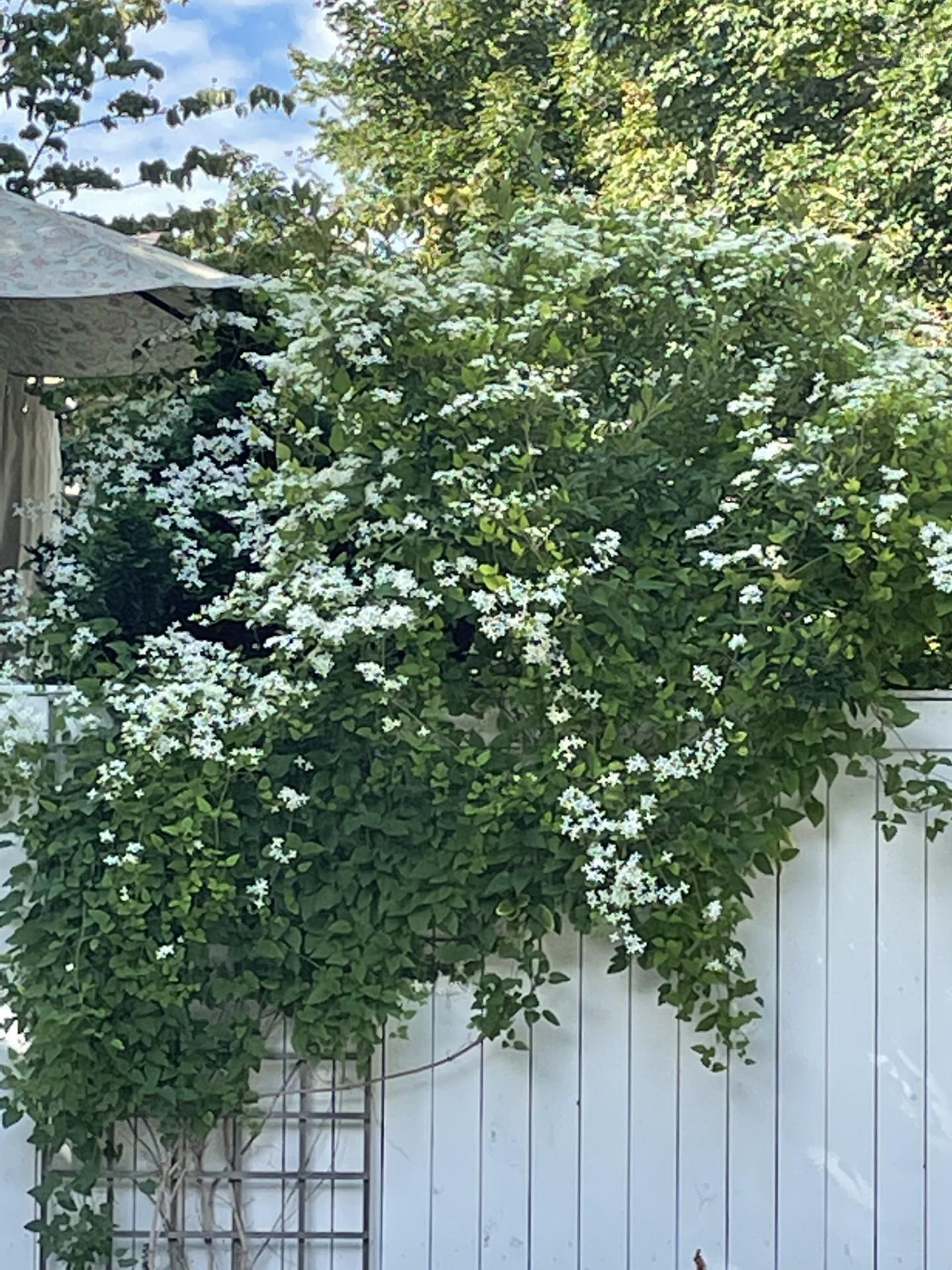 6051 South Street, Halifax, NS (MLS 202602780)