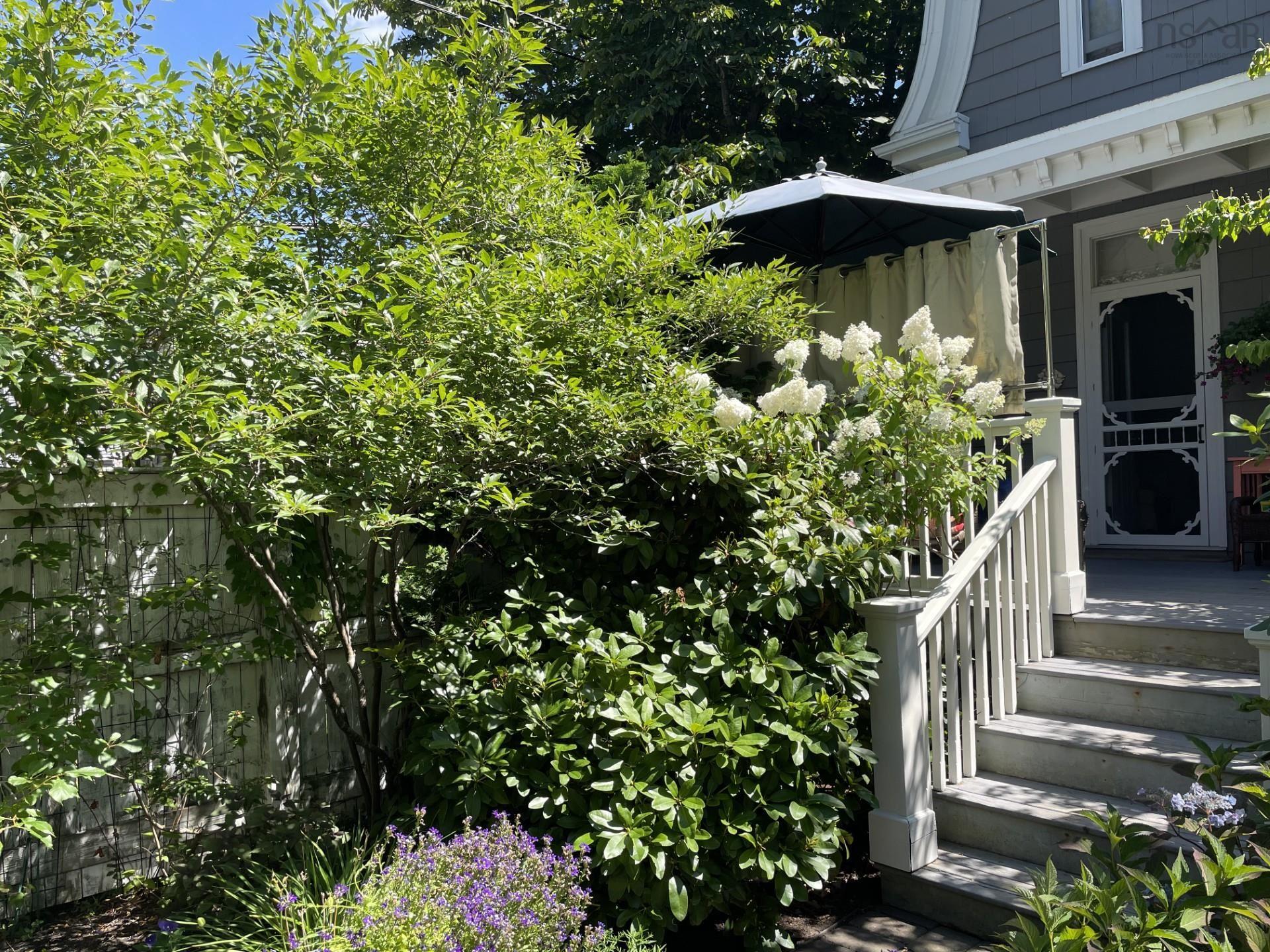 6051 South Street, Halifax, NS (MLS 202602780)