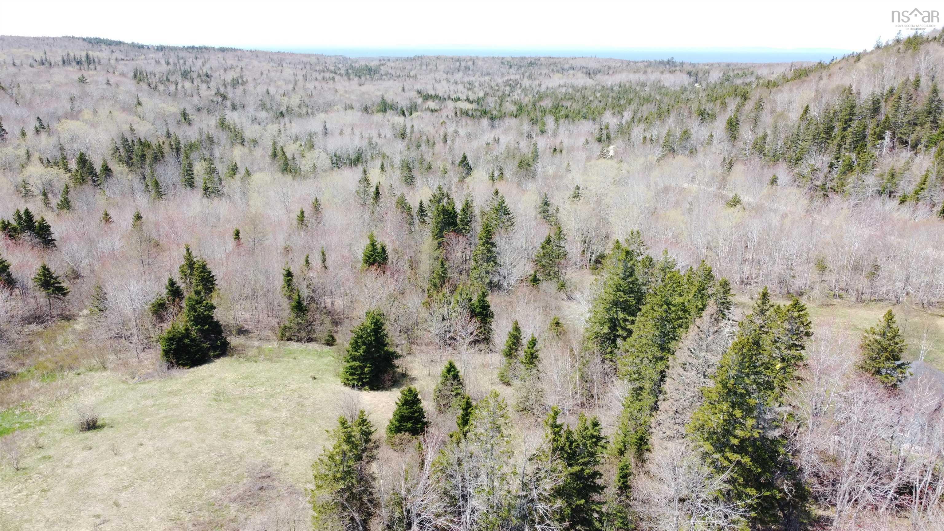 $29,900.00: Lot 1 River Denys Mountain Road, Rear Judique