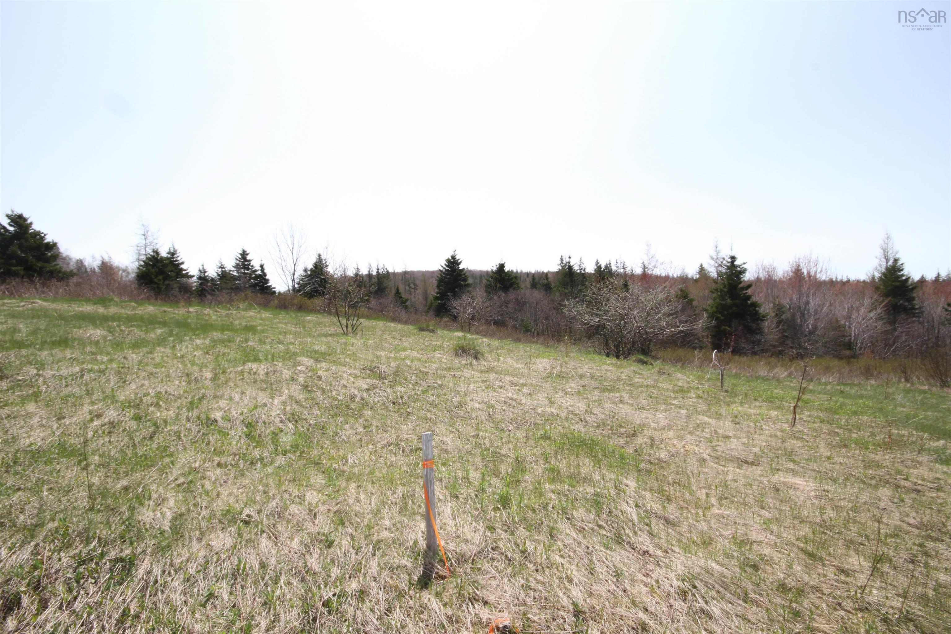 $29,900.00: Lot 1 River Denys Mountain Road, Rear Judique