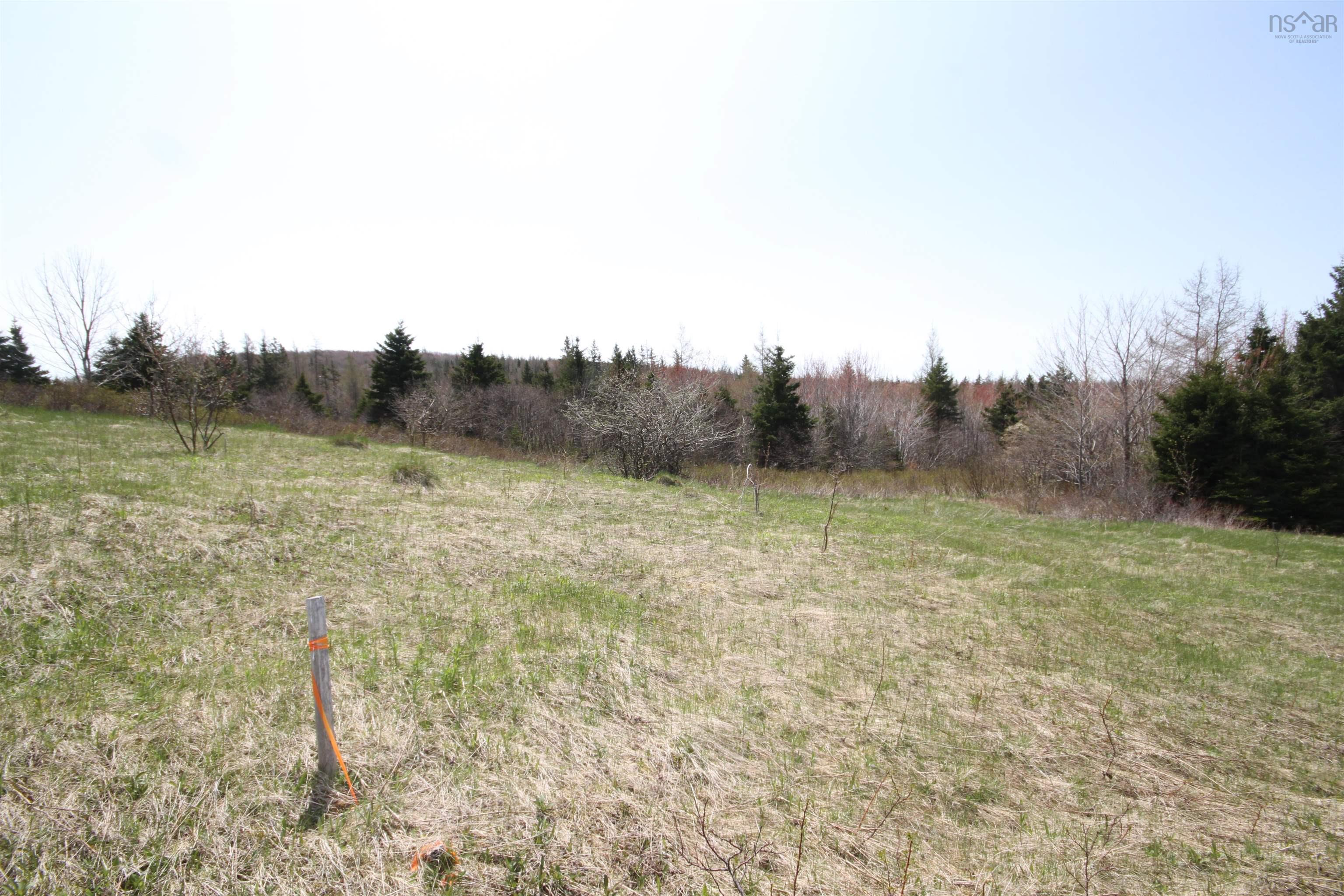 $29,900.00: Lot 1 River Denys Mountain Road, Rear Judique