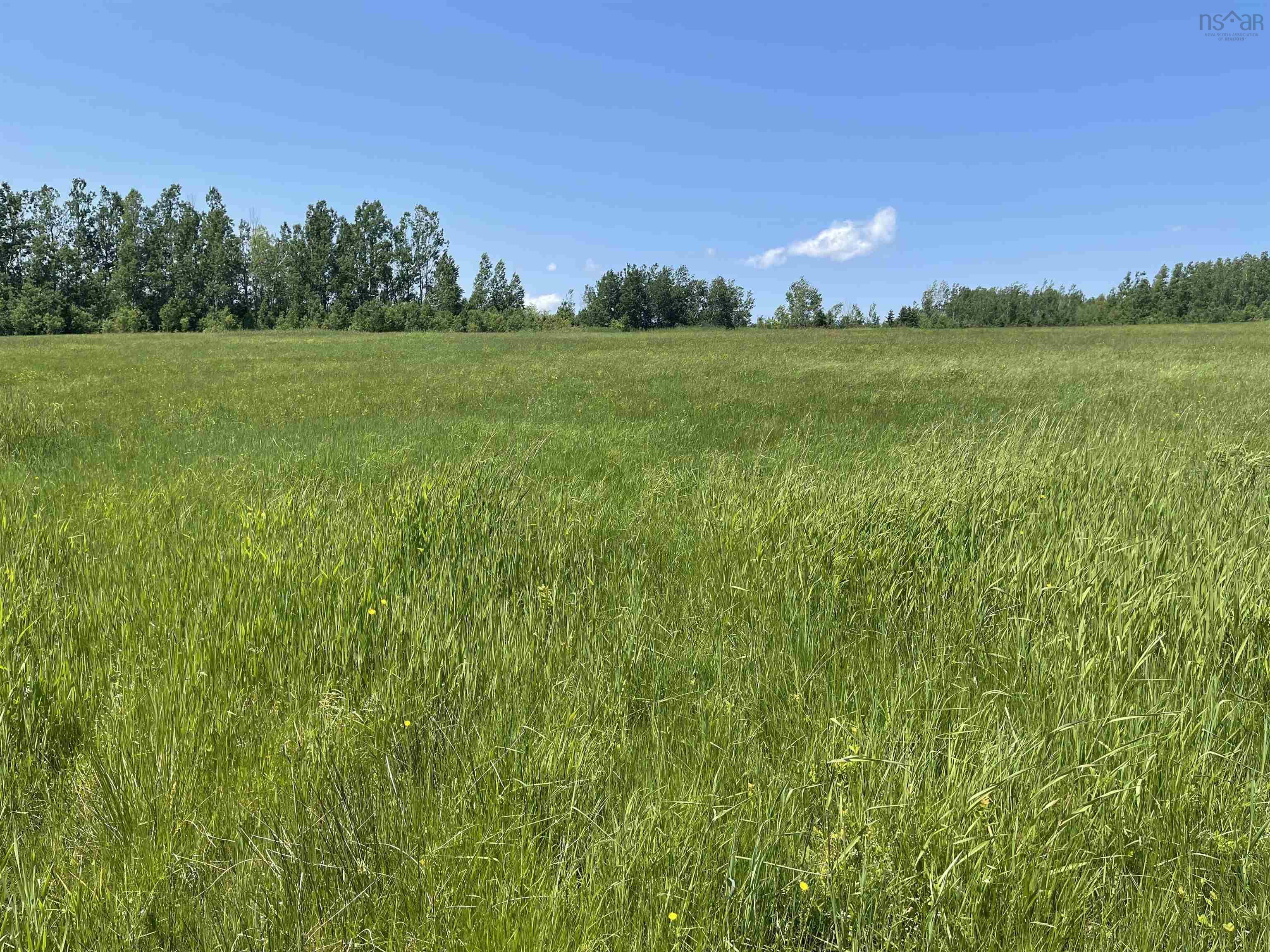 $48,500.00: Lot 36 Saltwater Drive, Malagash
