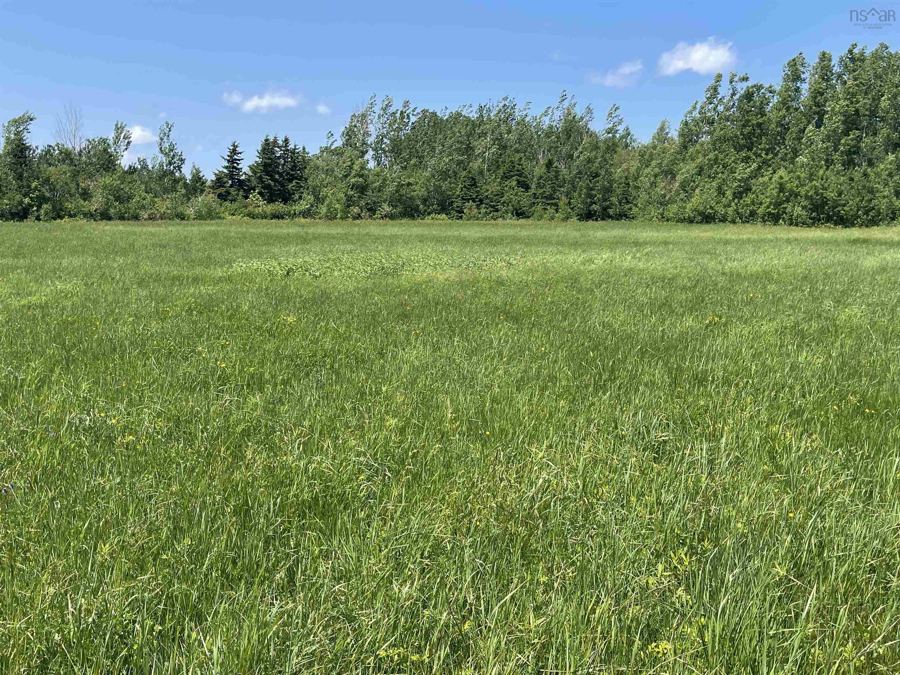 $50,000.00: Lot 37 Saltwater Drive, Malagash