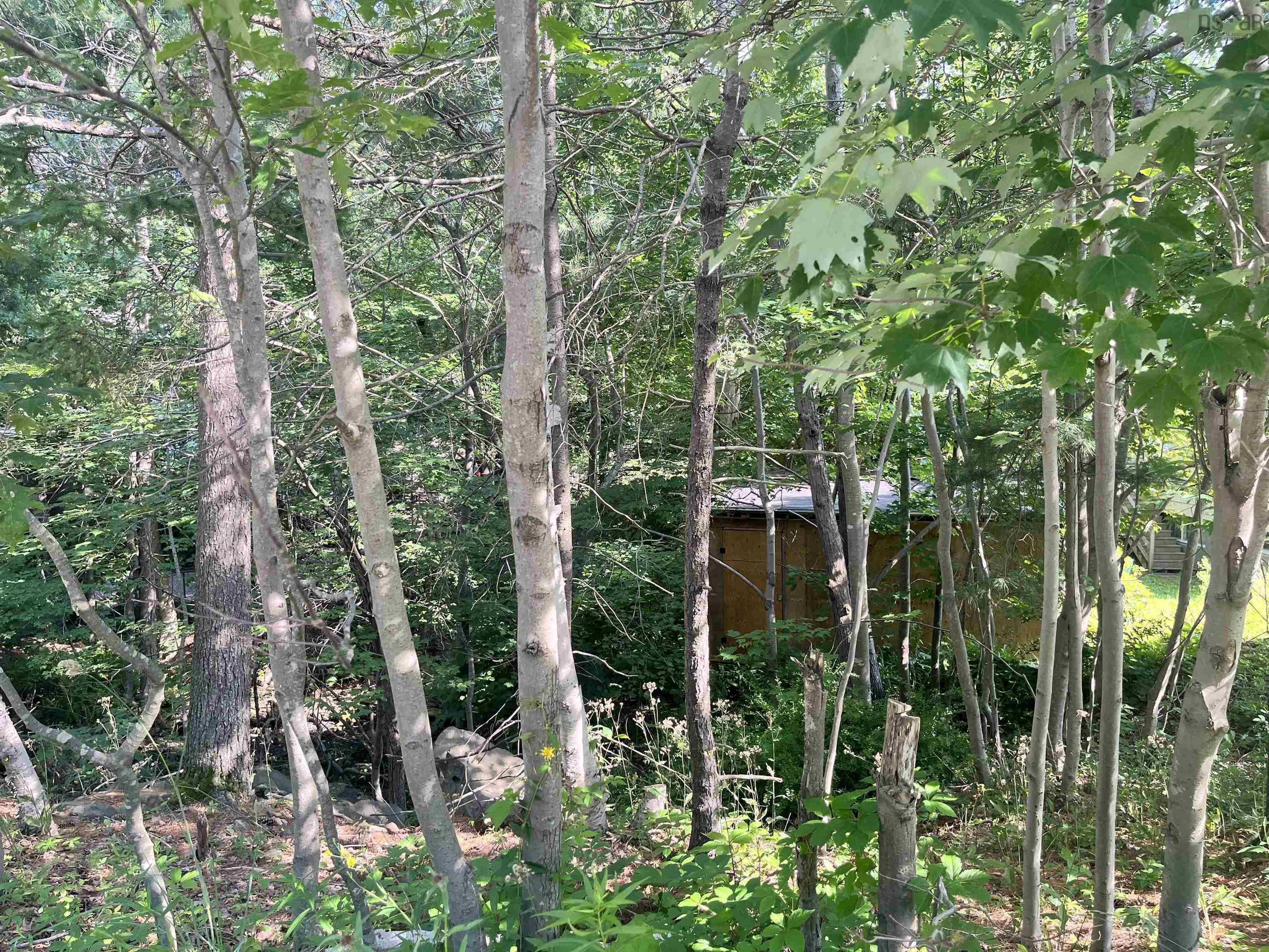 C6c Purcells Cove Road, Halifax, NS (MLS 202602861)