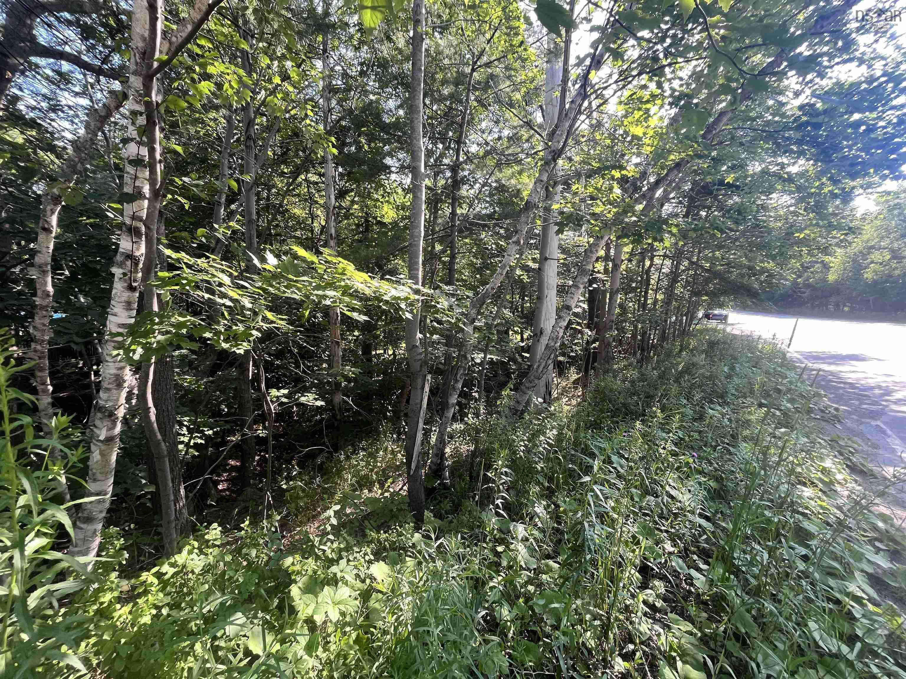 C6c Purcells Cove Road, Halifax, NS (MLS 202602861)