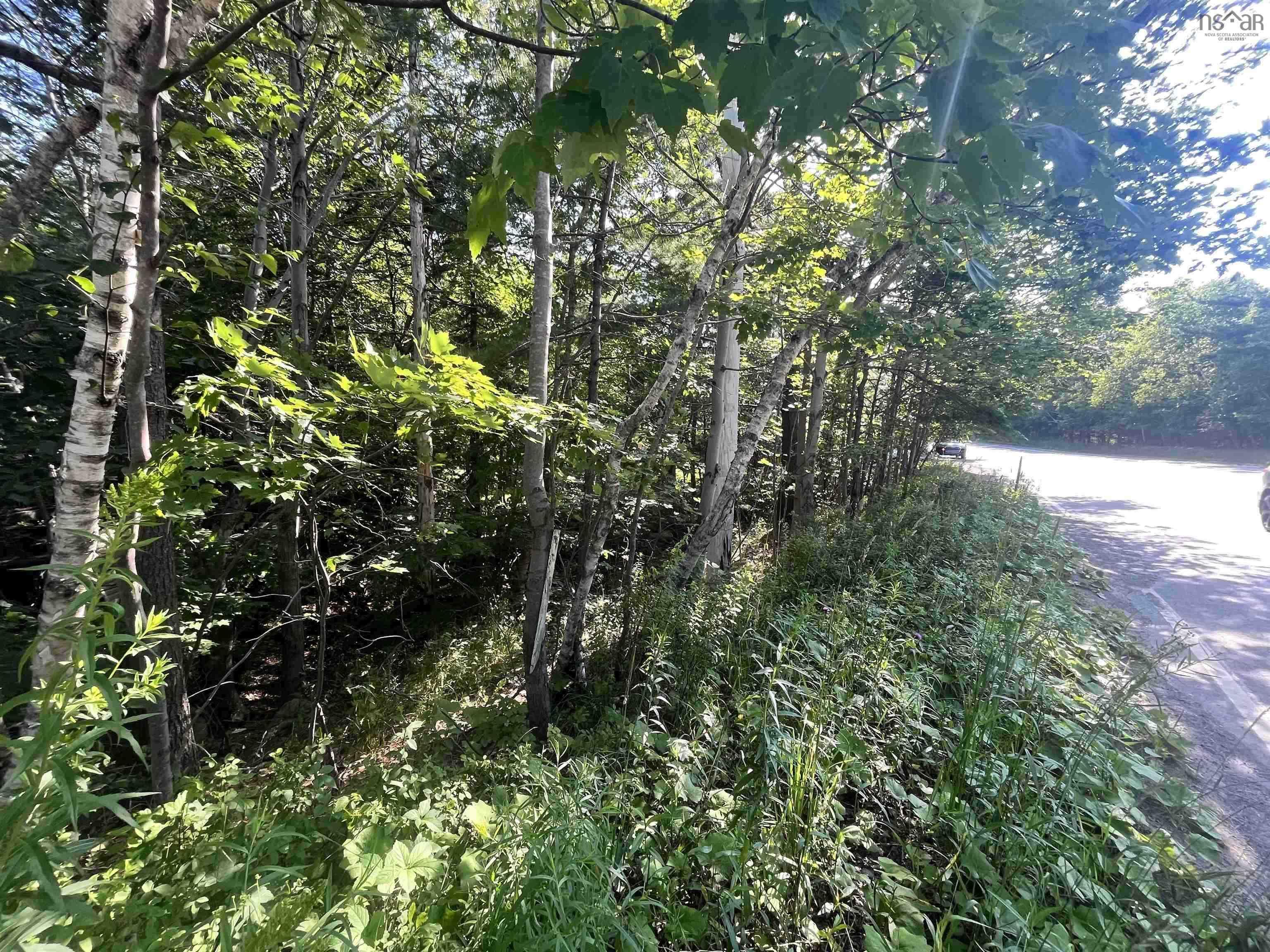 C6c Purcells Cove Road, Halifax, NS (MLS 202602861)